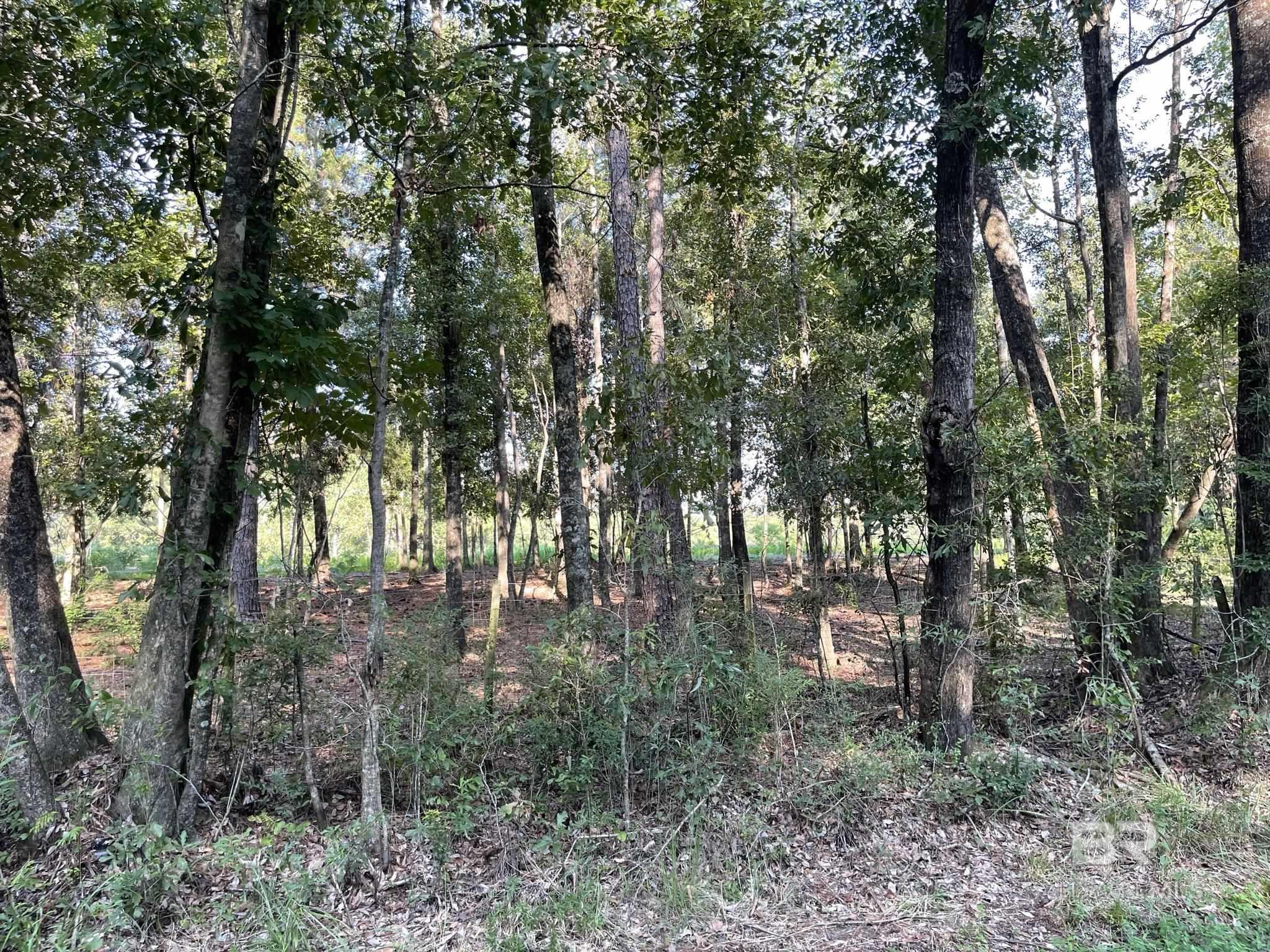 0 Rockhill Road