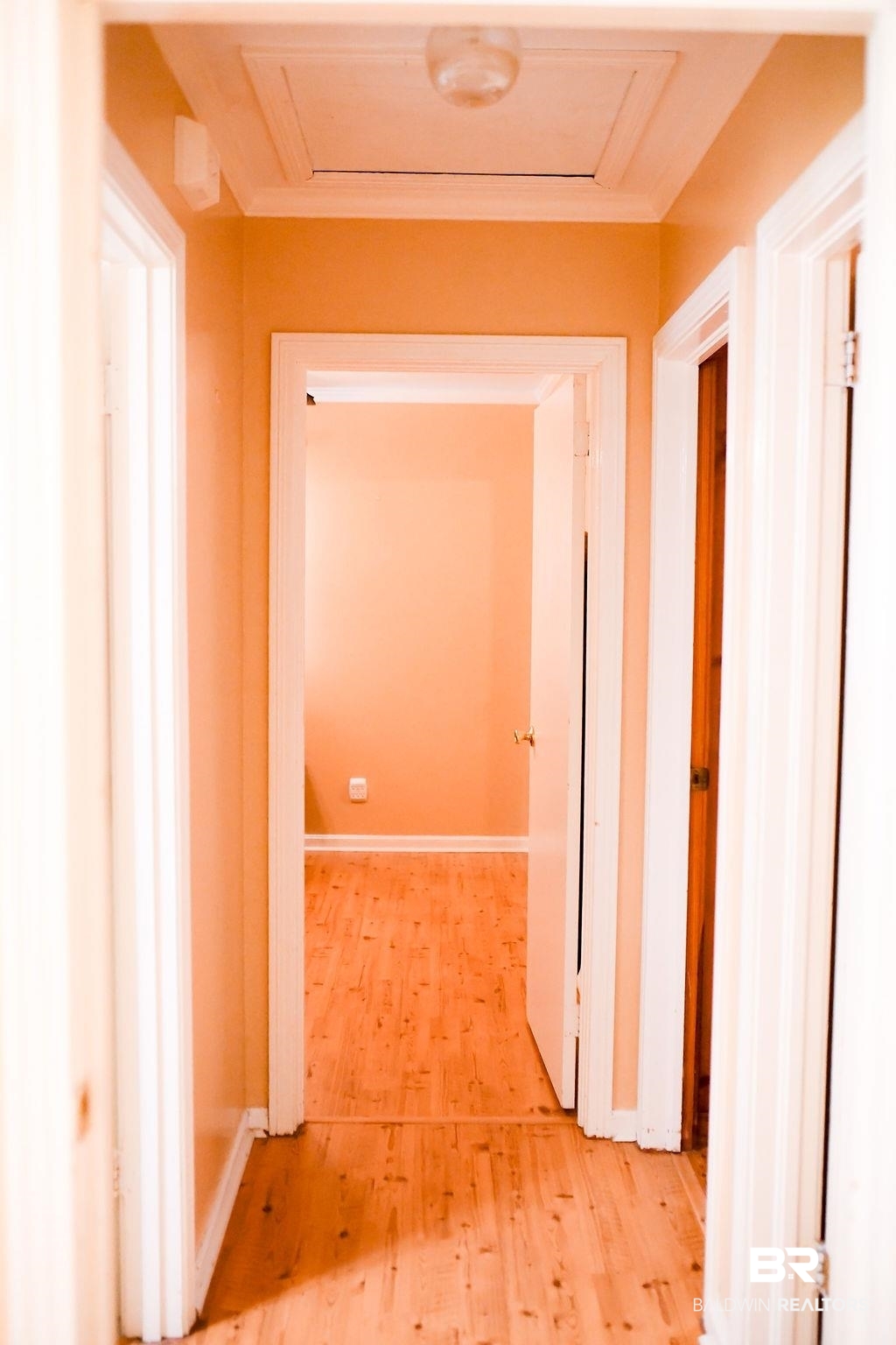 205 Greer Avenue