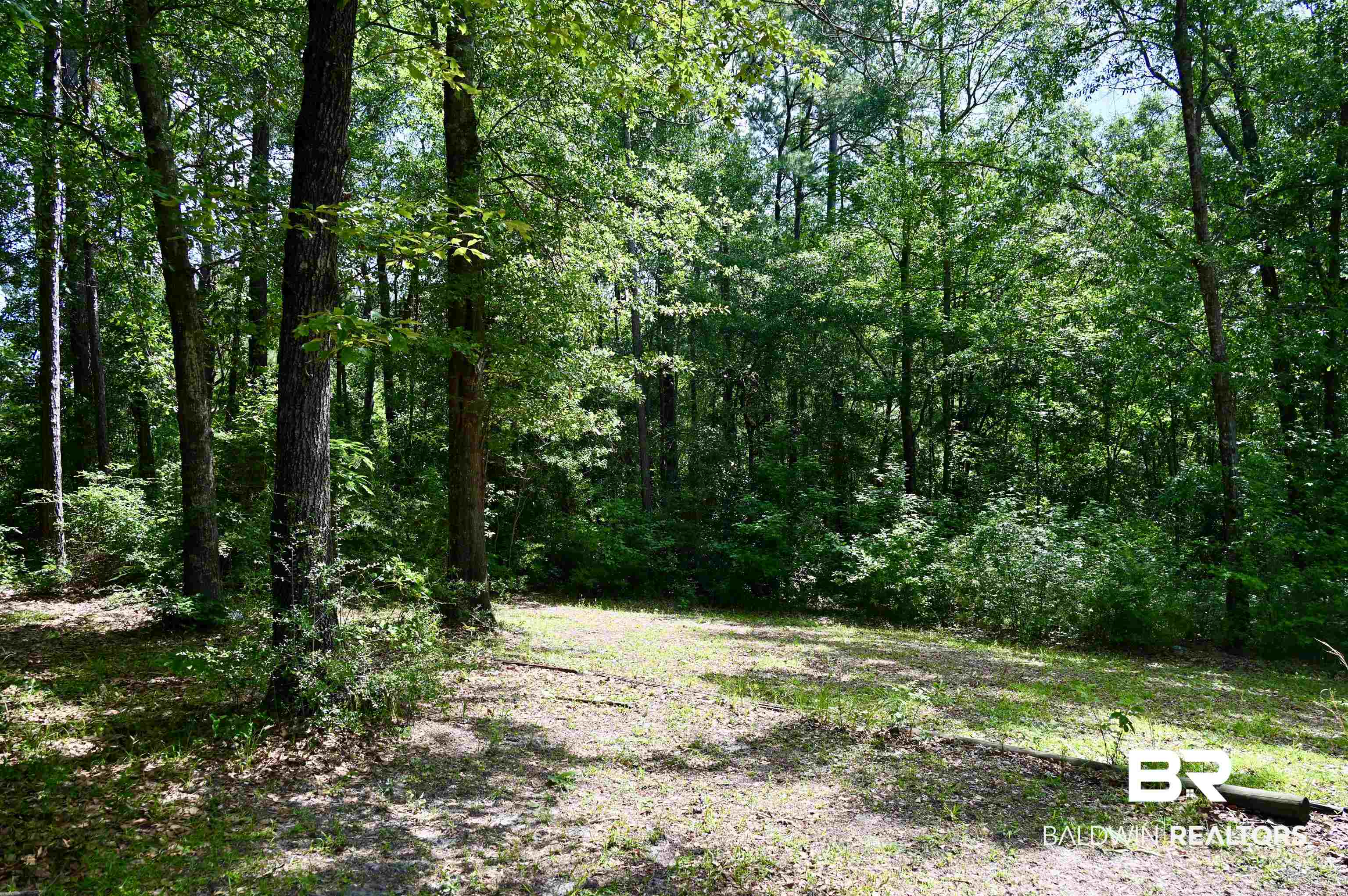 2300 Wolf Log Road