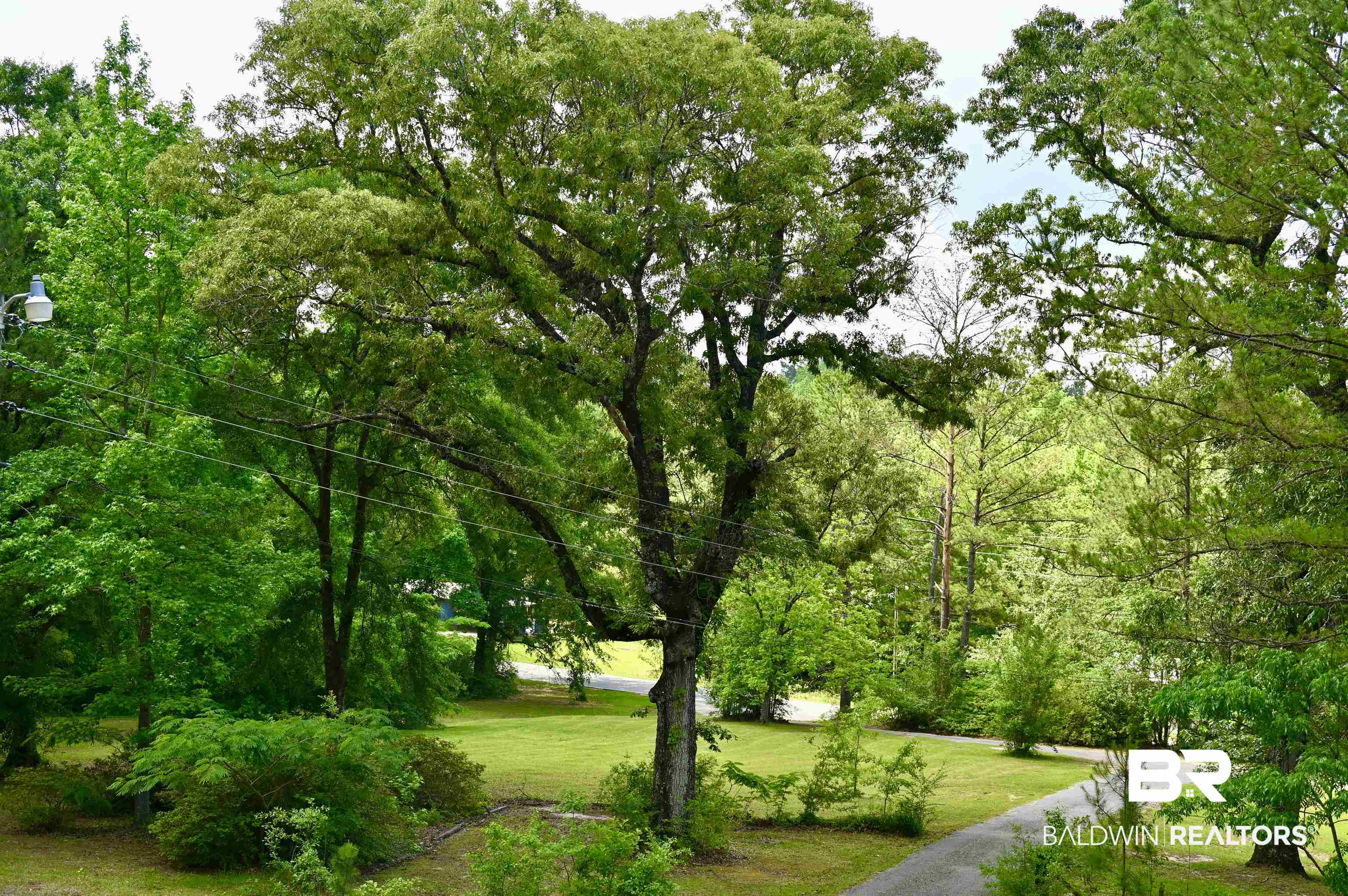 2300 Wolf Log Road