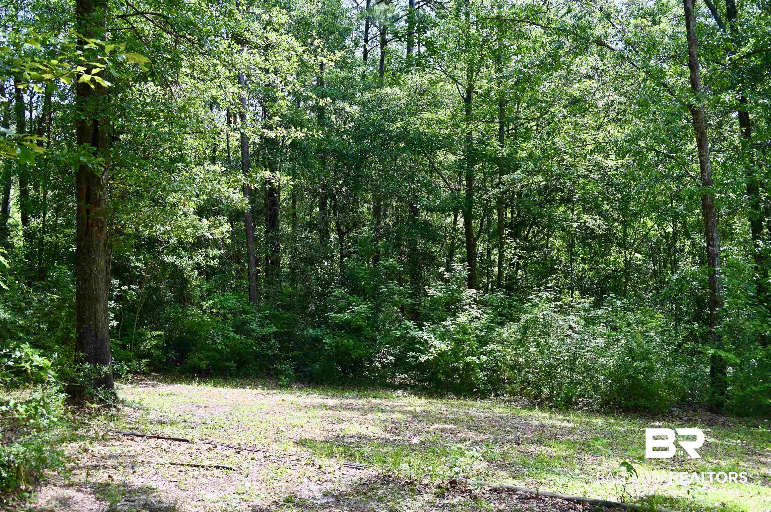 2300 Wolf Log Road