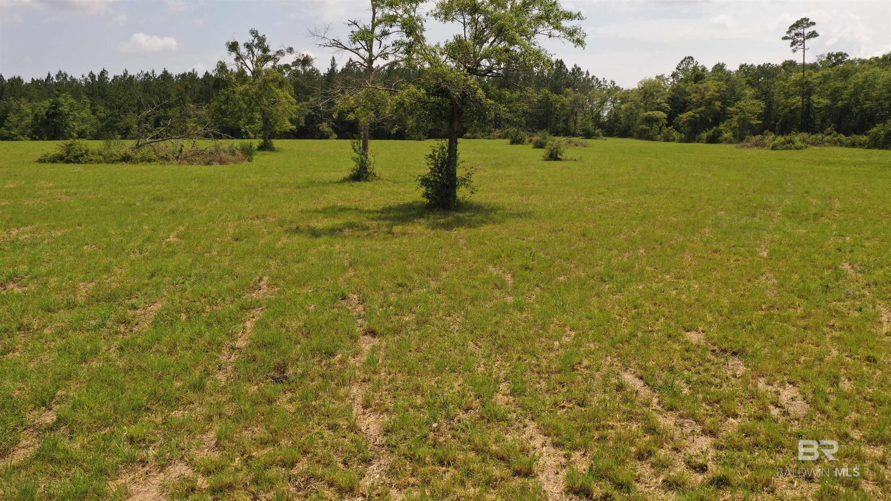 Lot 1 River Annex Road