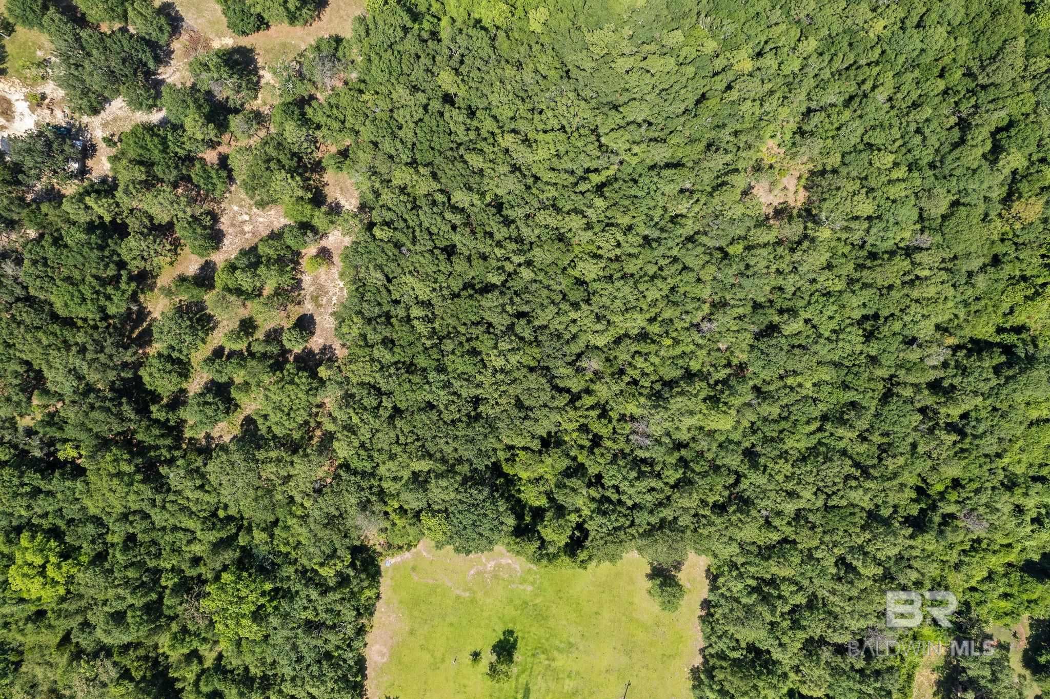 0 Pine Forest Road