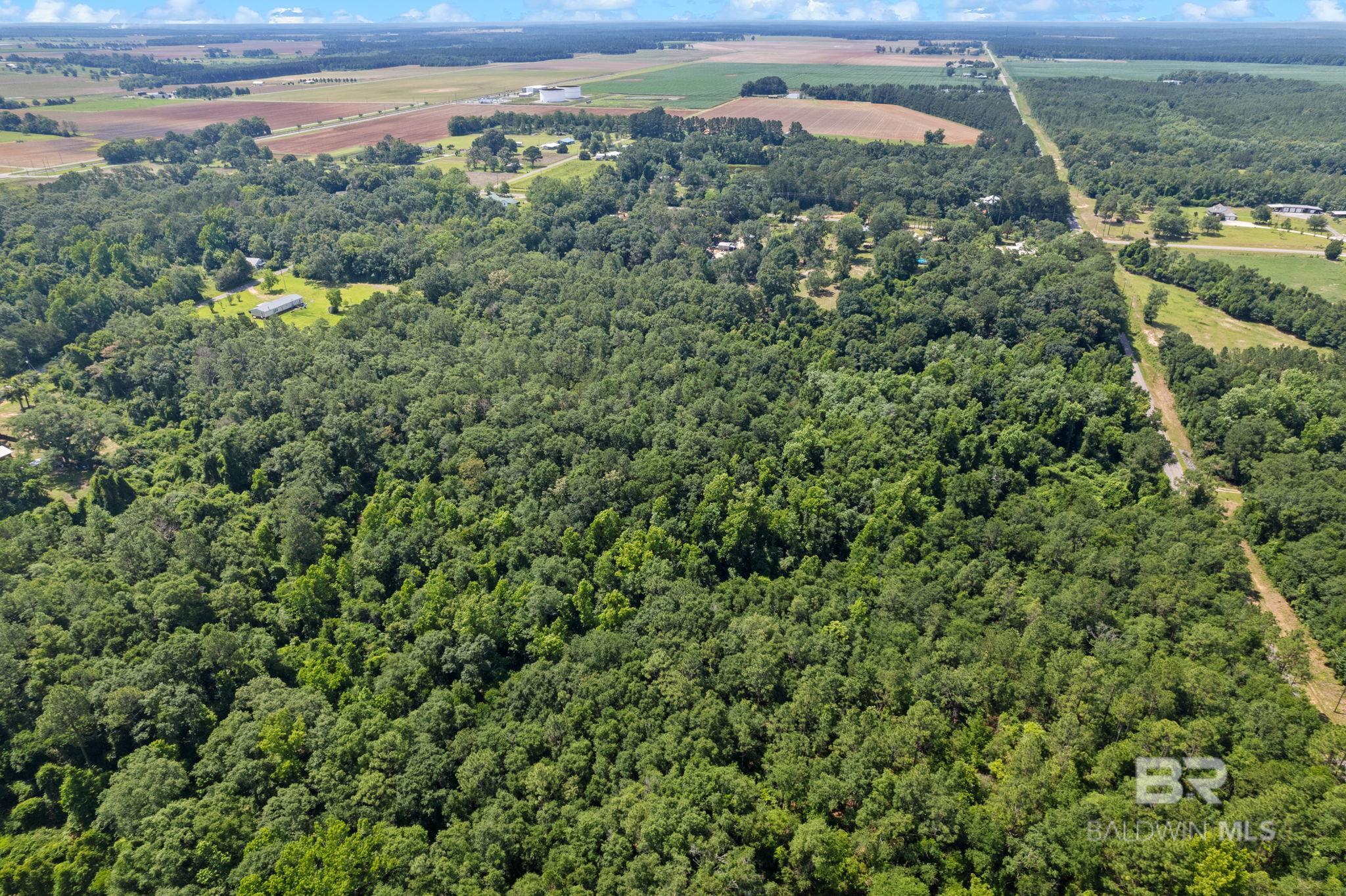 0 Pine Forest Road