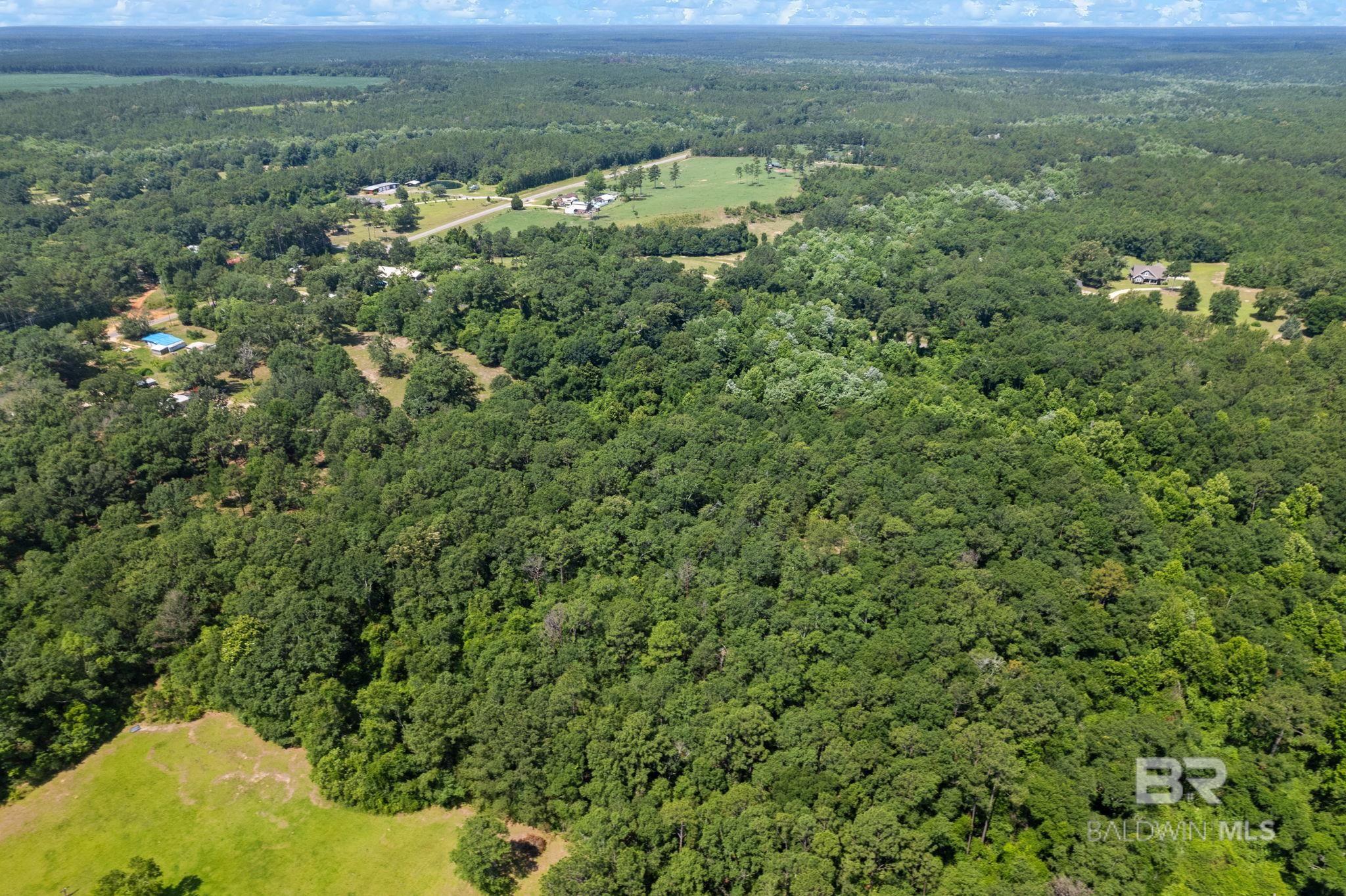 0 Pine Forest Road