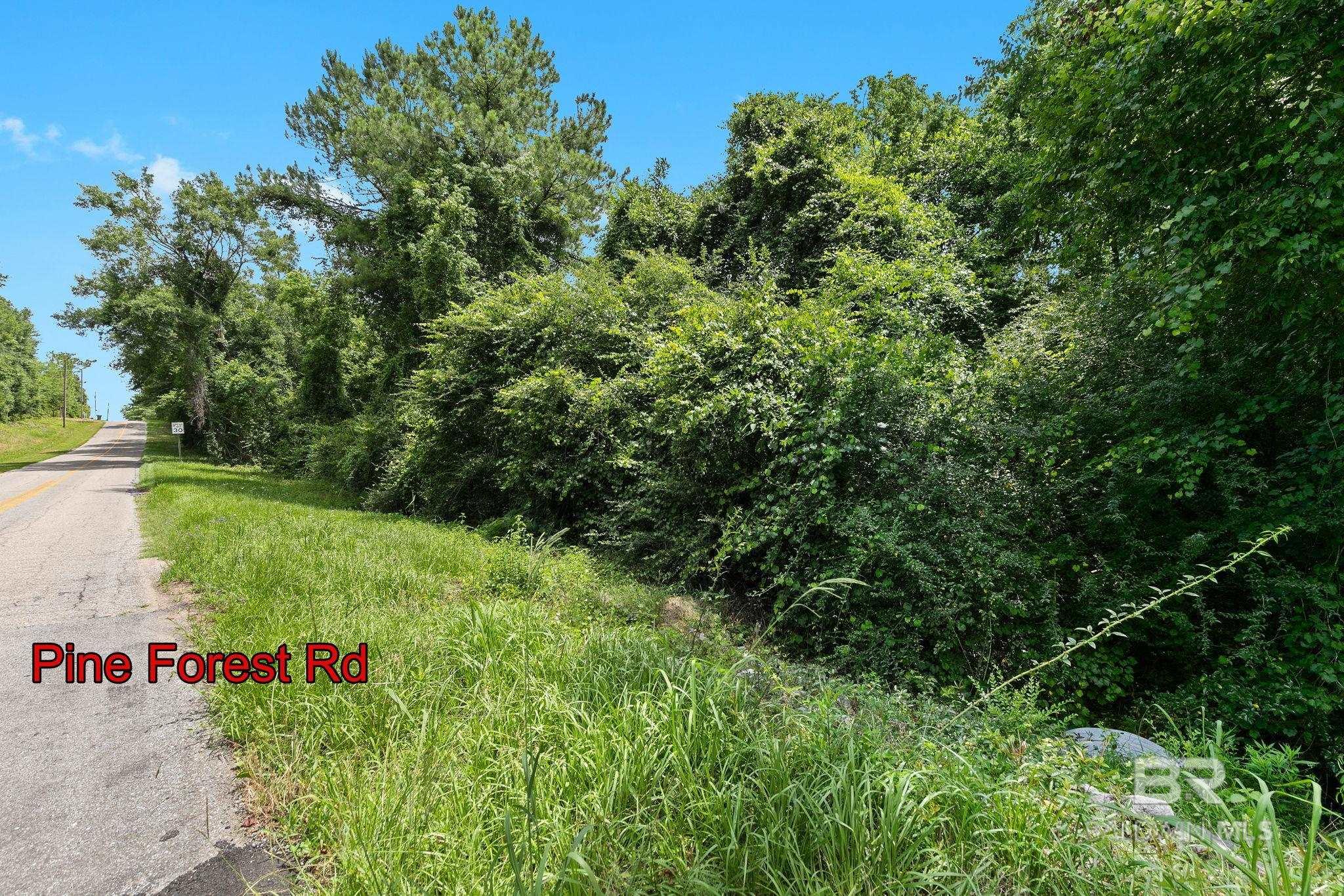 0 Pine Forest Road
