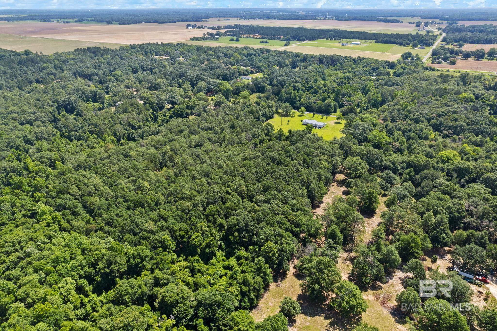 0 Pine Forest Road