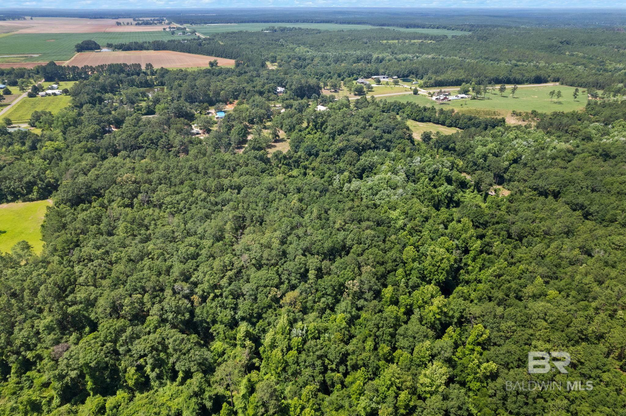 0 Pine Forest Road