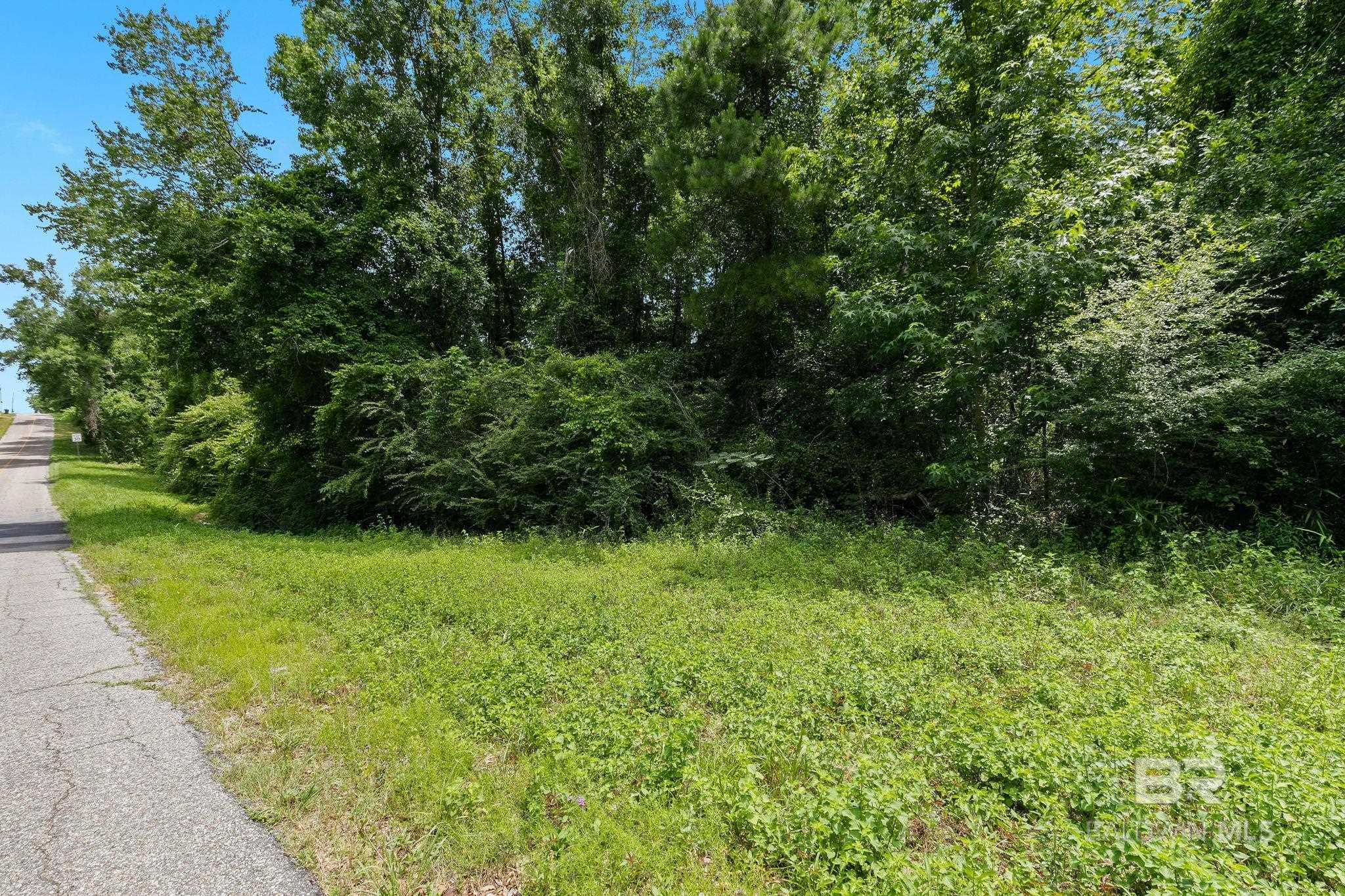 0 Pine Forest Road
