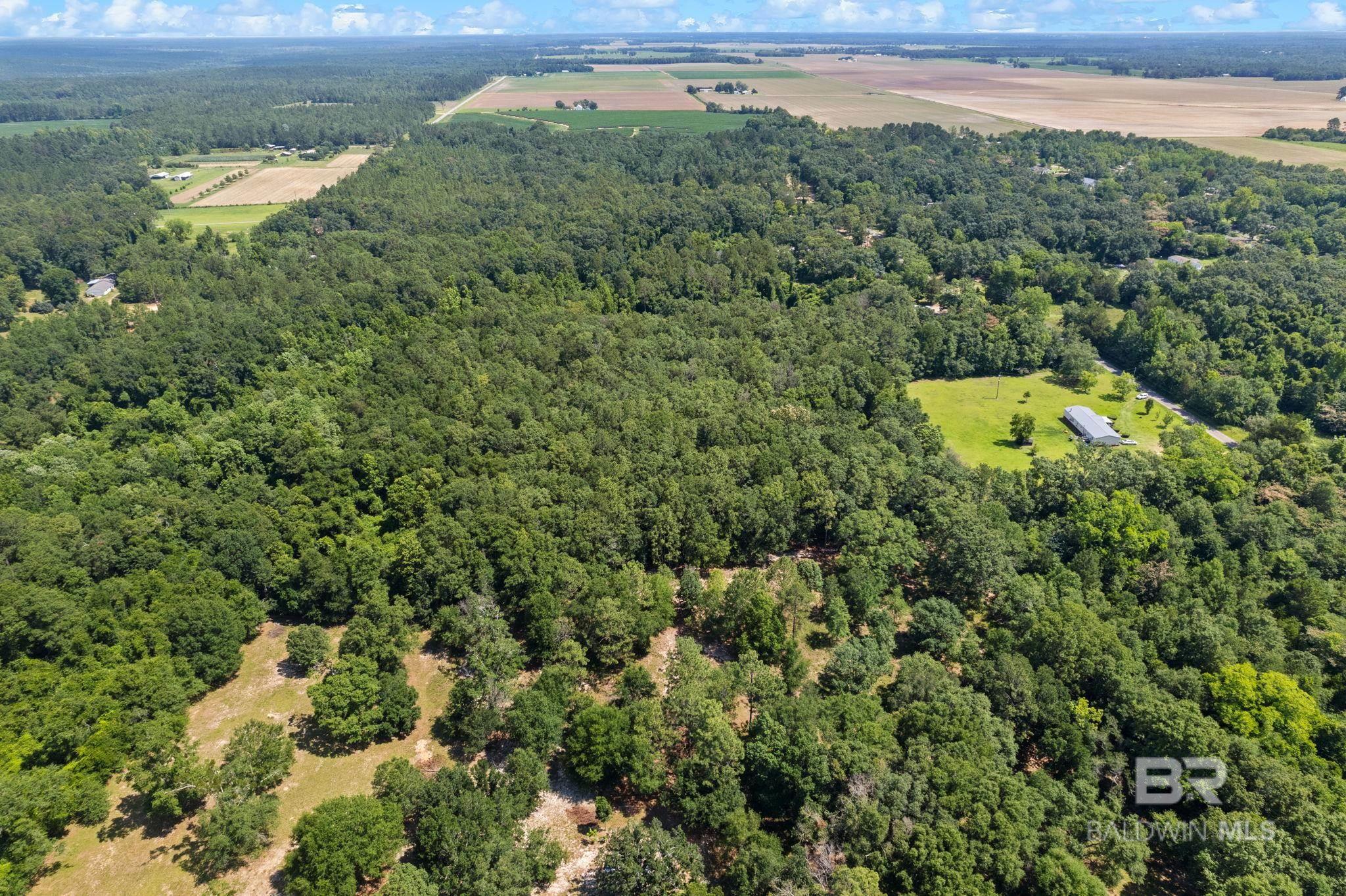 0 Pine Forest Road