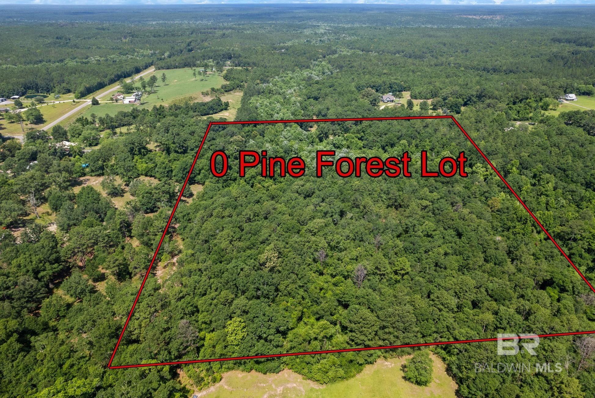 0 Pine Forest Road