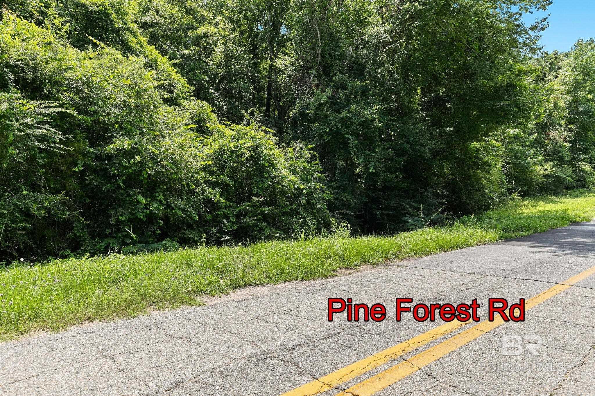 0 Pine Forest Road