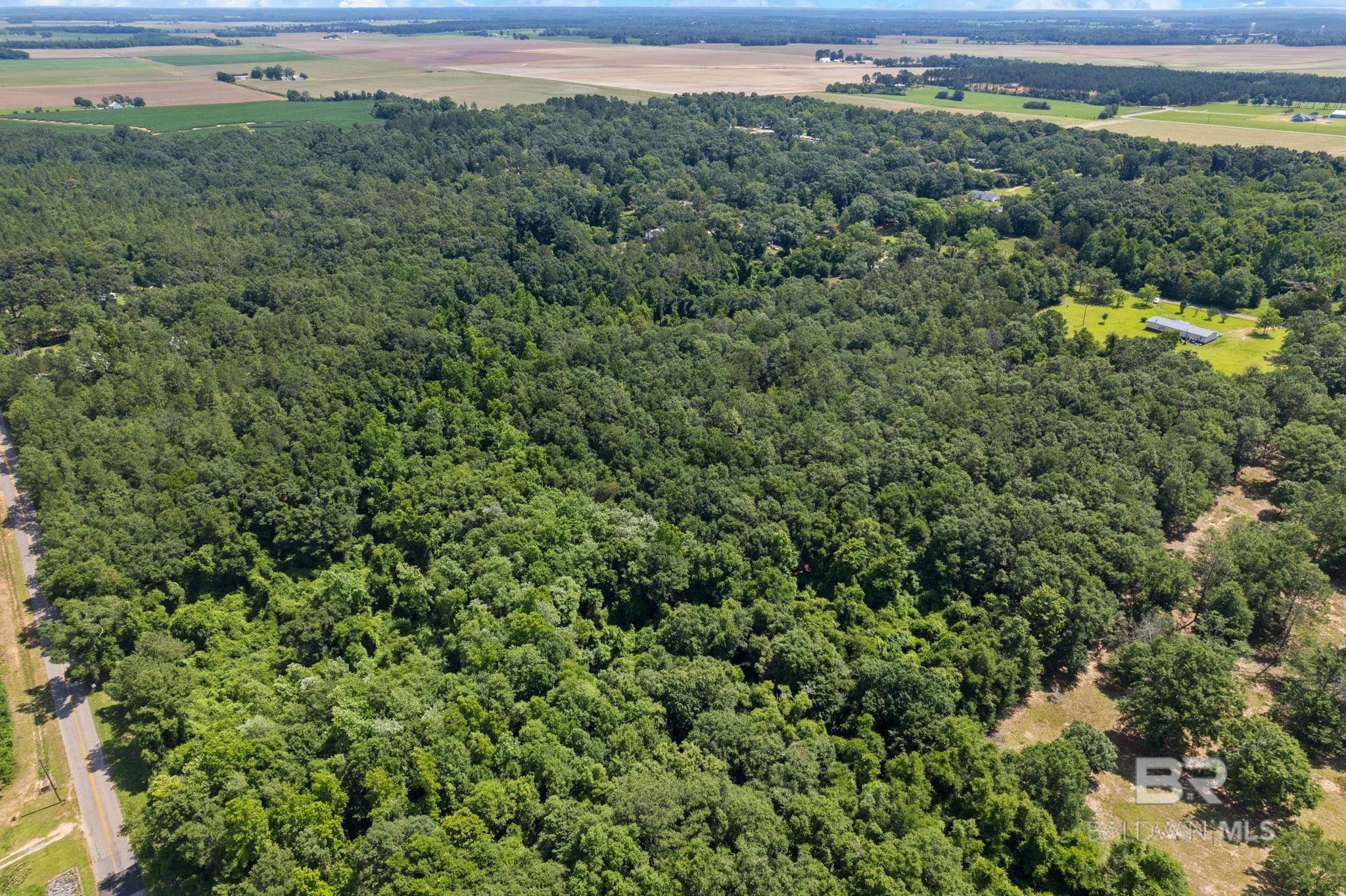 0 Pine Forest Road