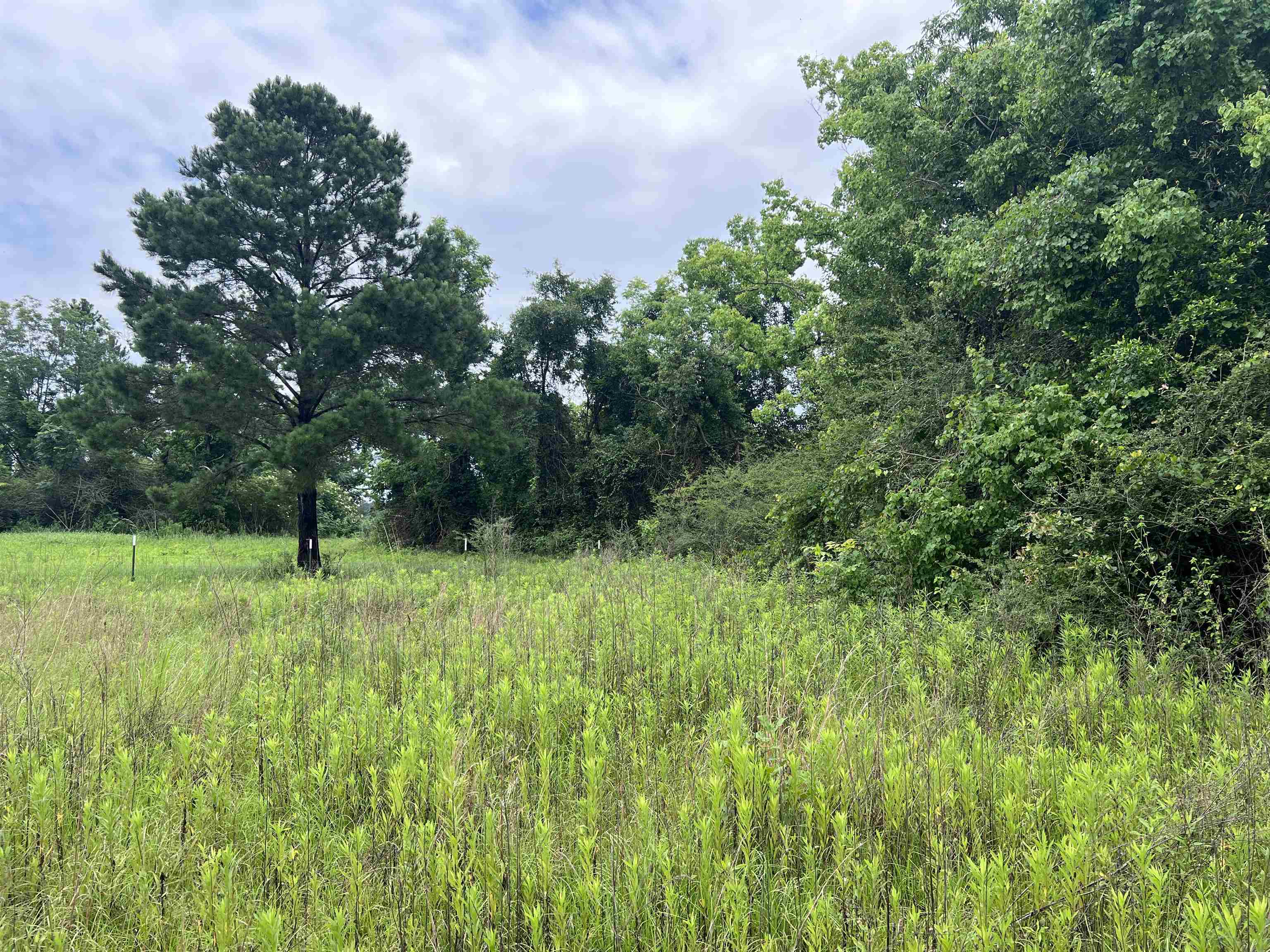 00 County Road 64