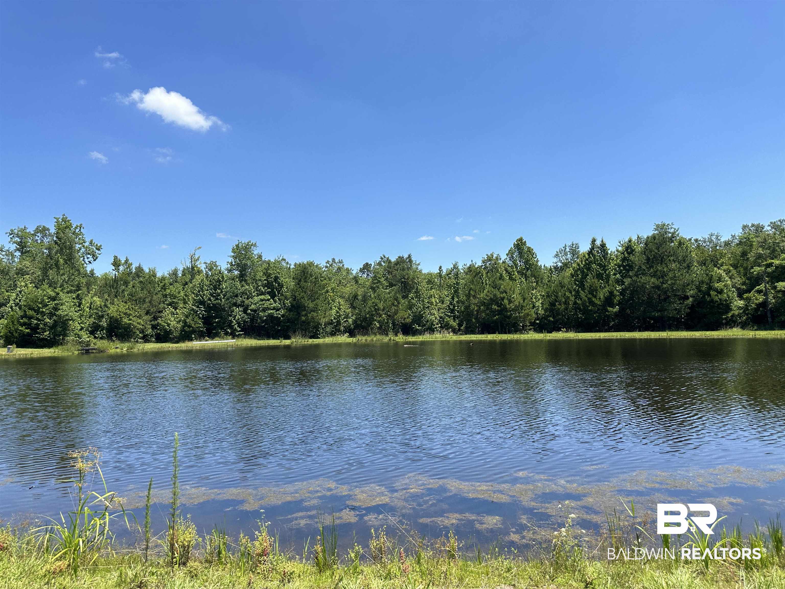 16791 Highway 29