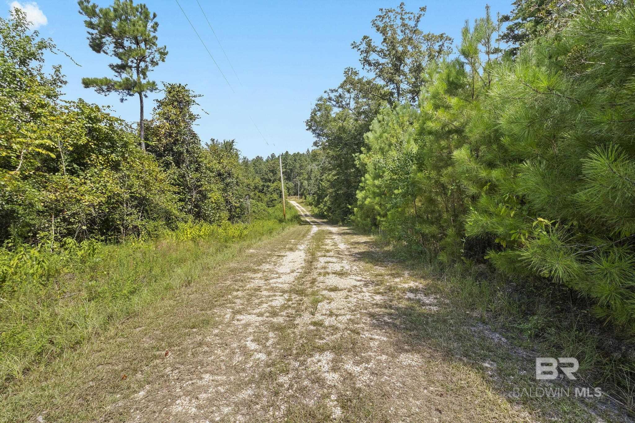 13155 Highway 59