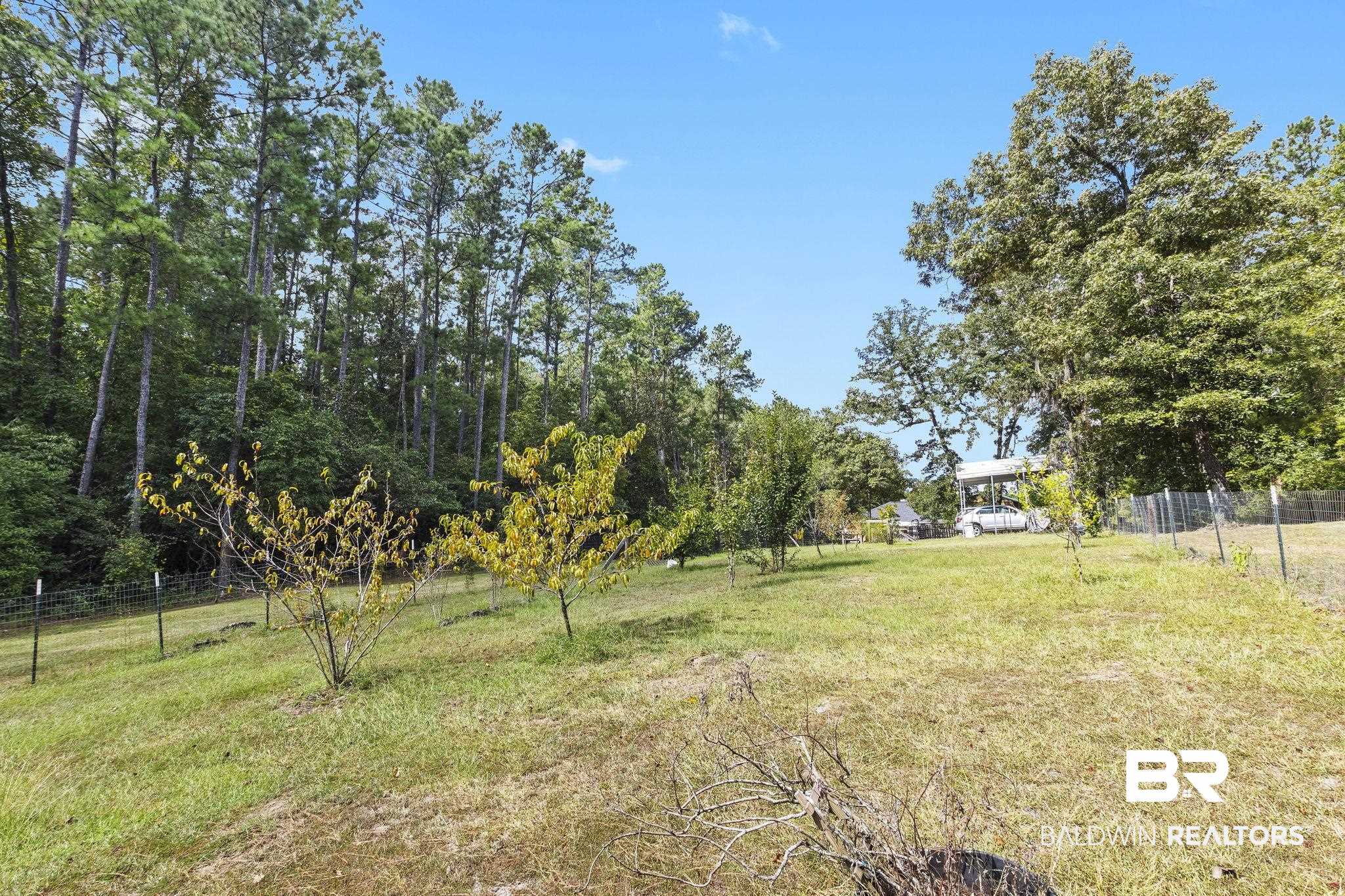 13155 Highway 59