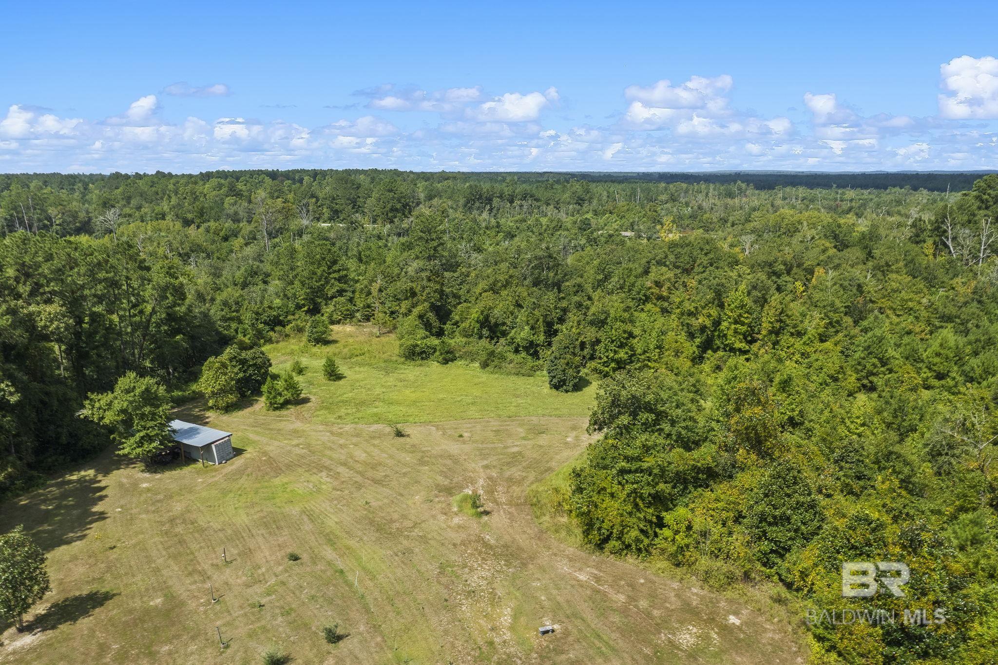 13155 Highway 59