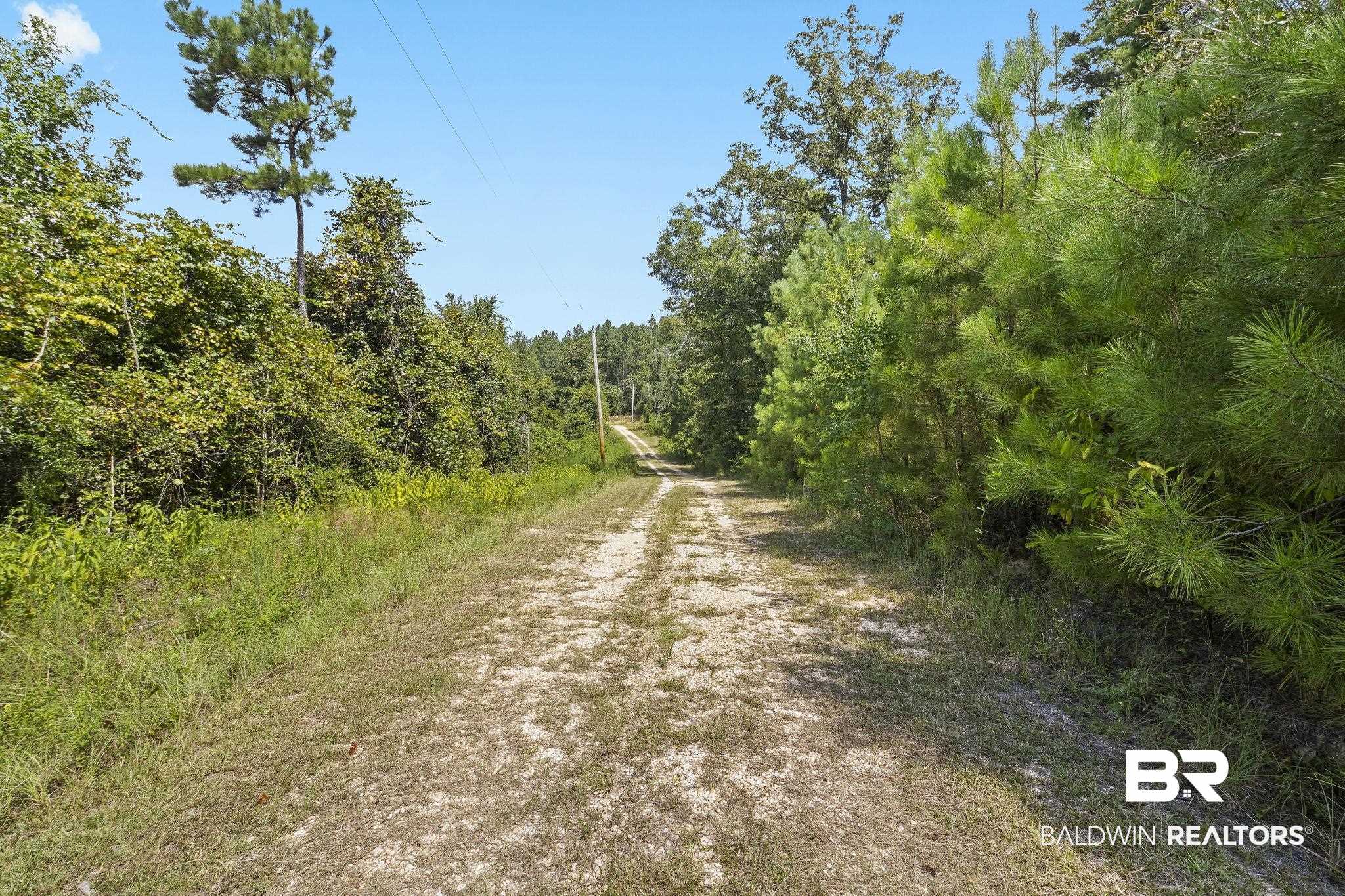 13155 Highway 59