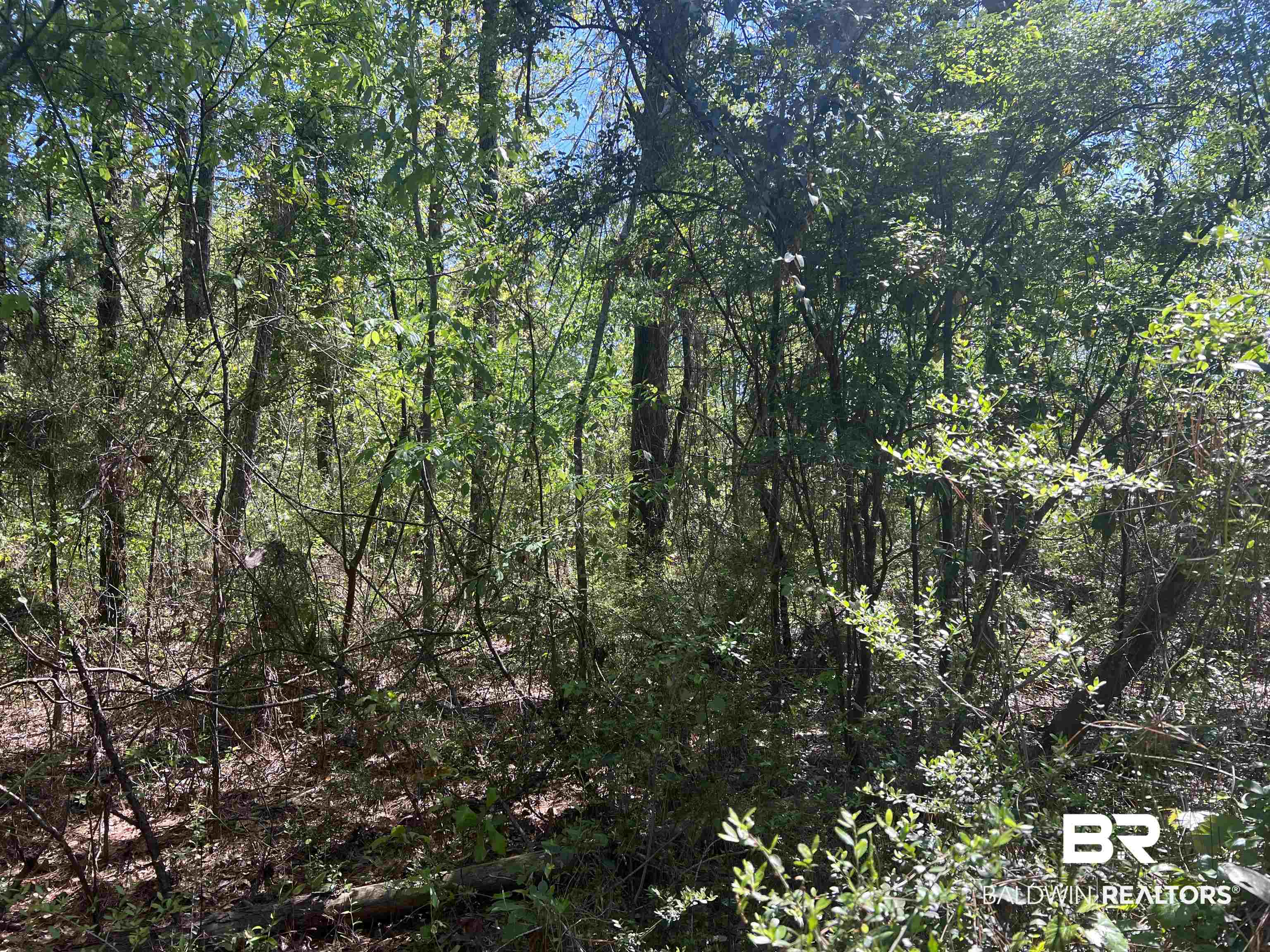 00 N Pine Barren Road