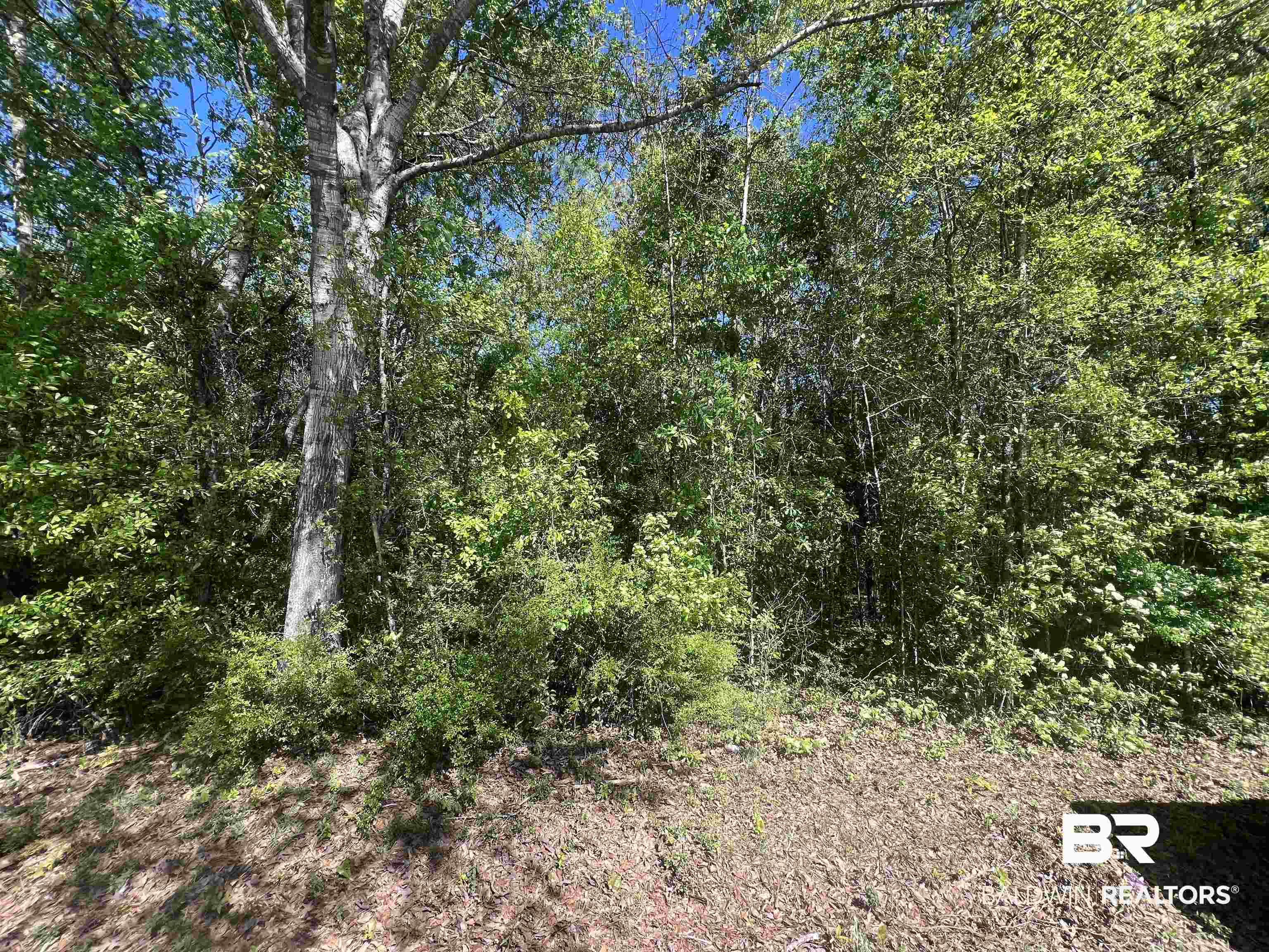 00 N Pine Barren Road