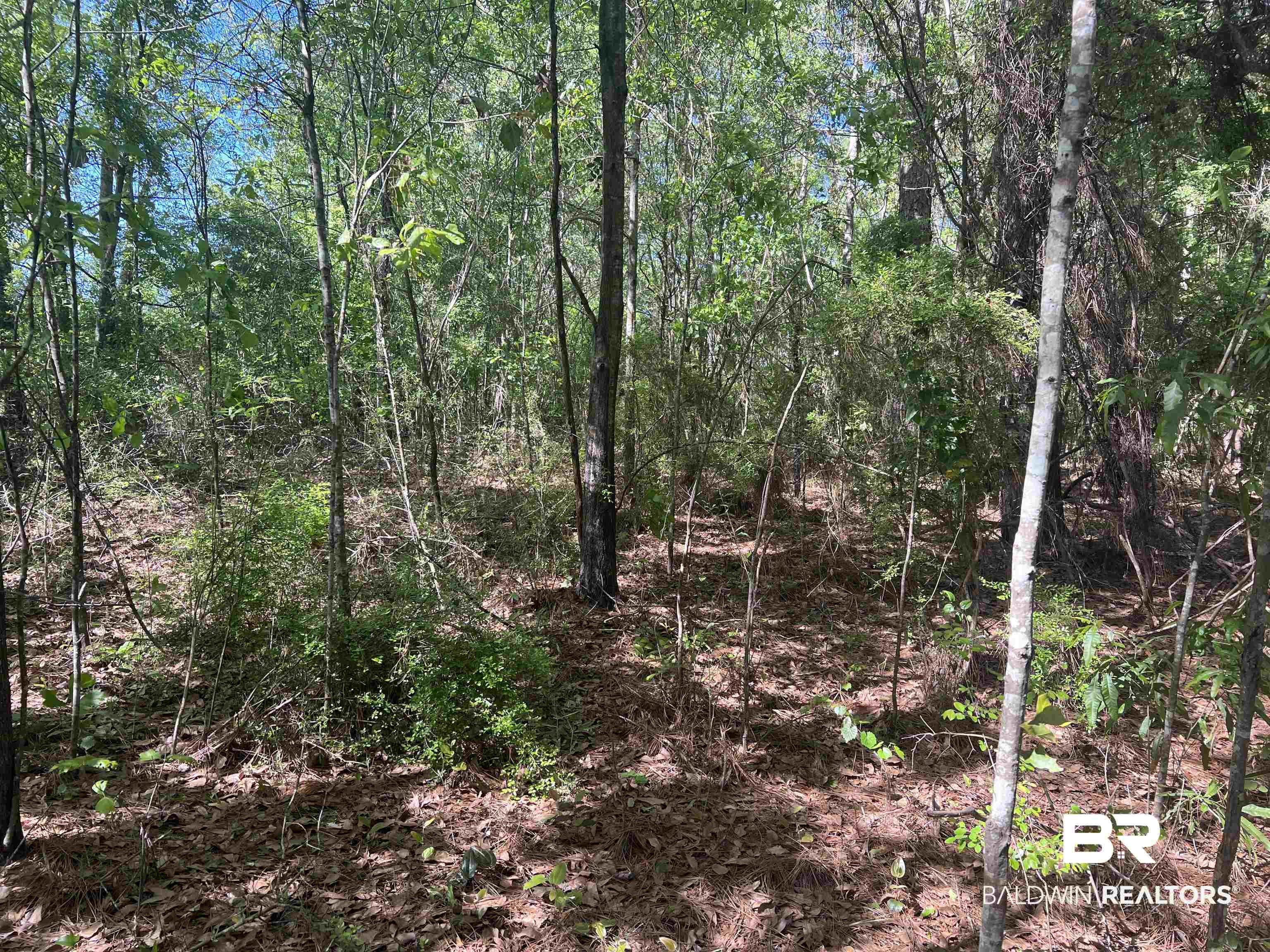 00 N Pine Barren Road