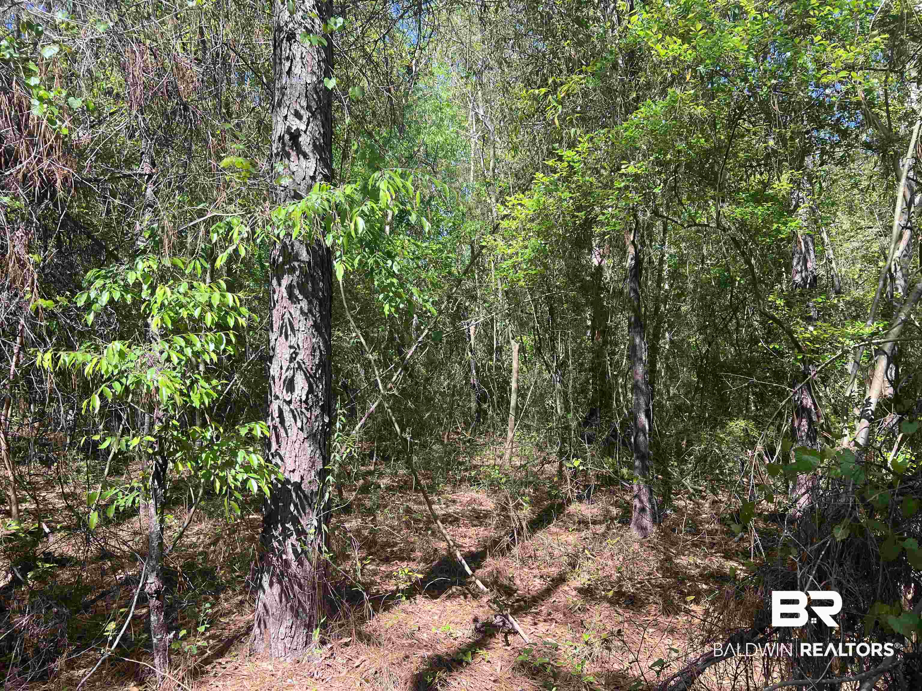00 N Pine Barren Road
