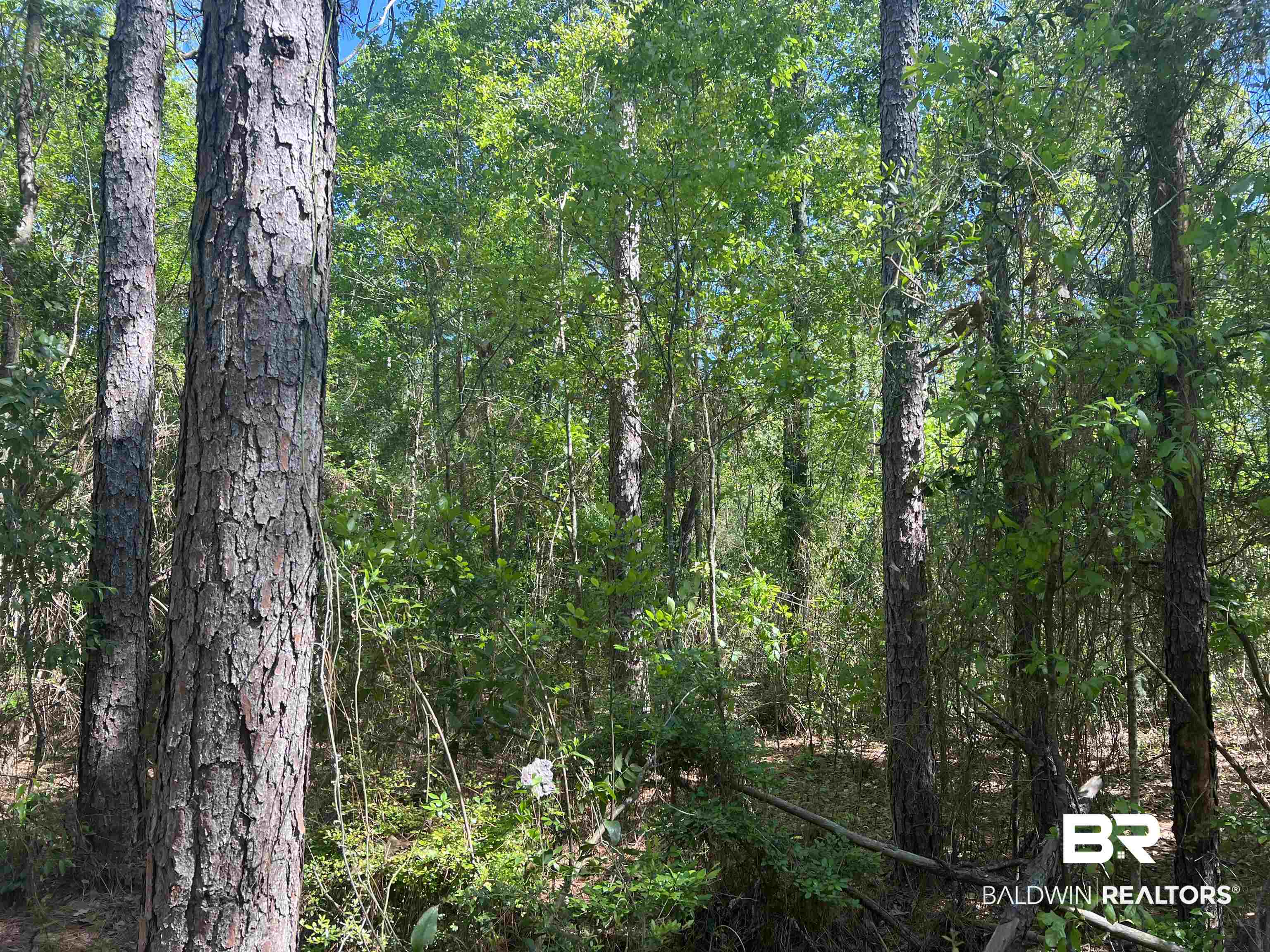 00 N Pine Barren Road