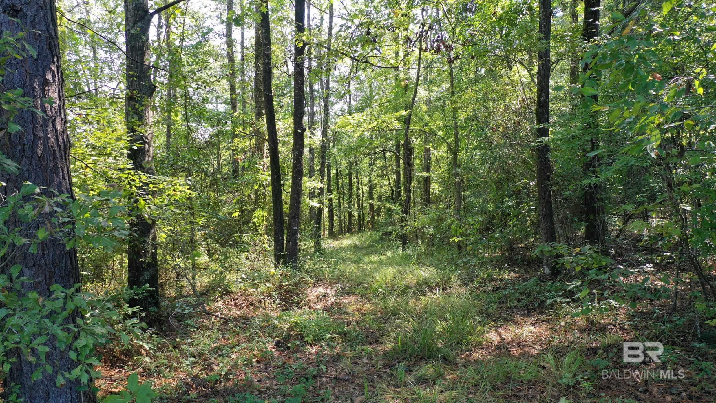 0 Sawmill Road