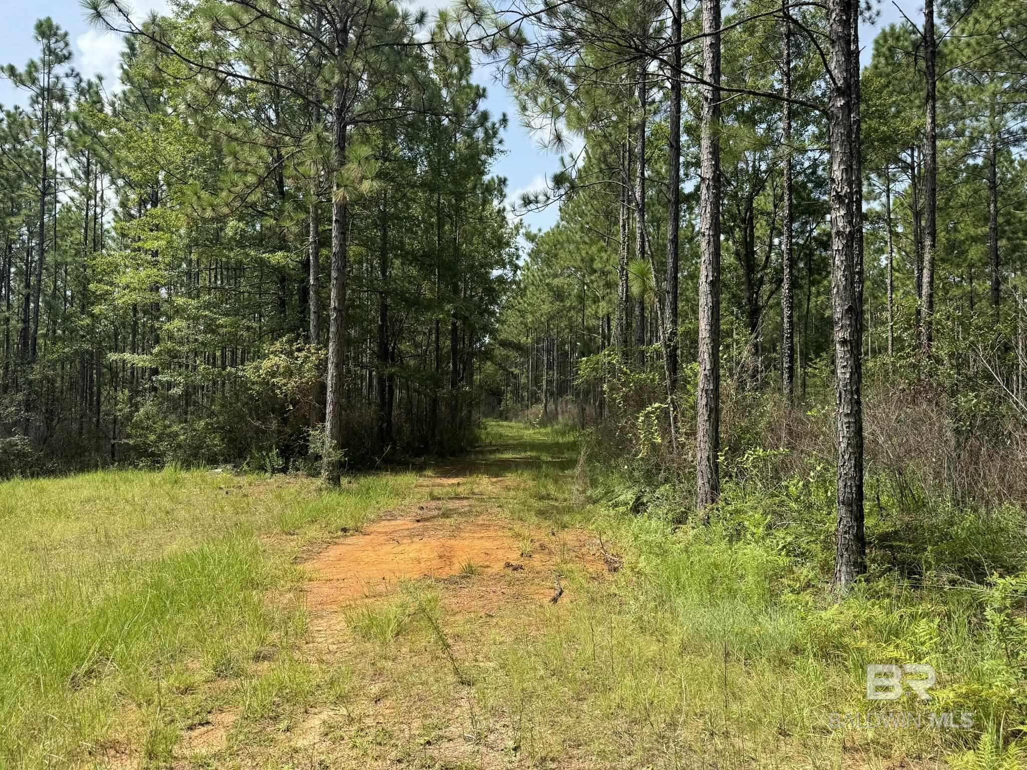 0 Nokomis Road