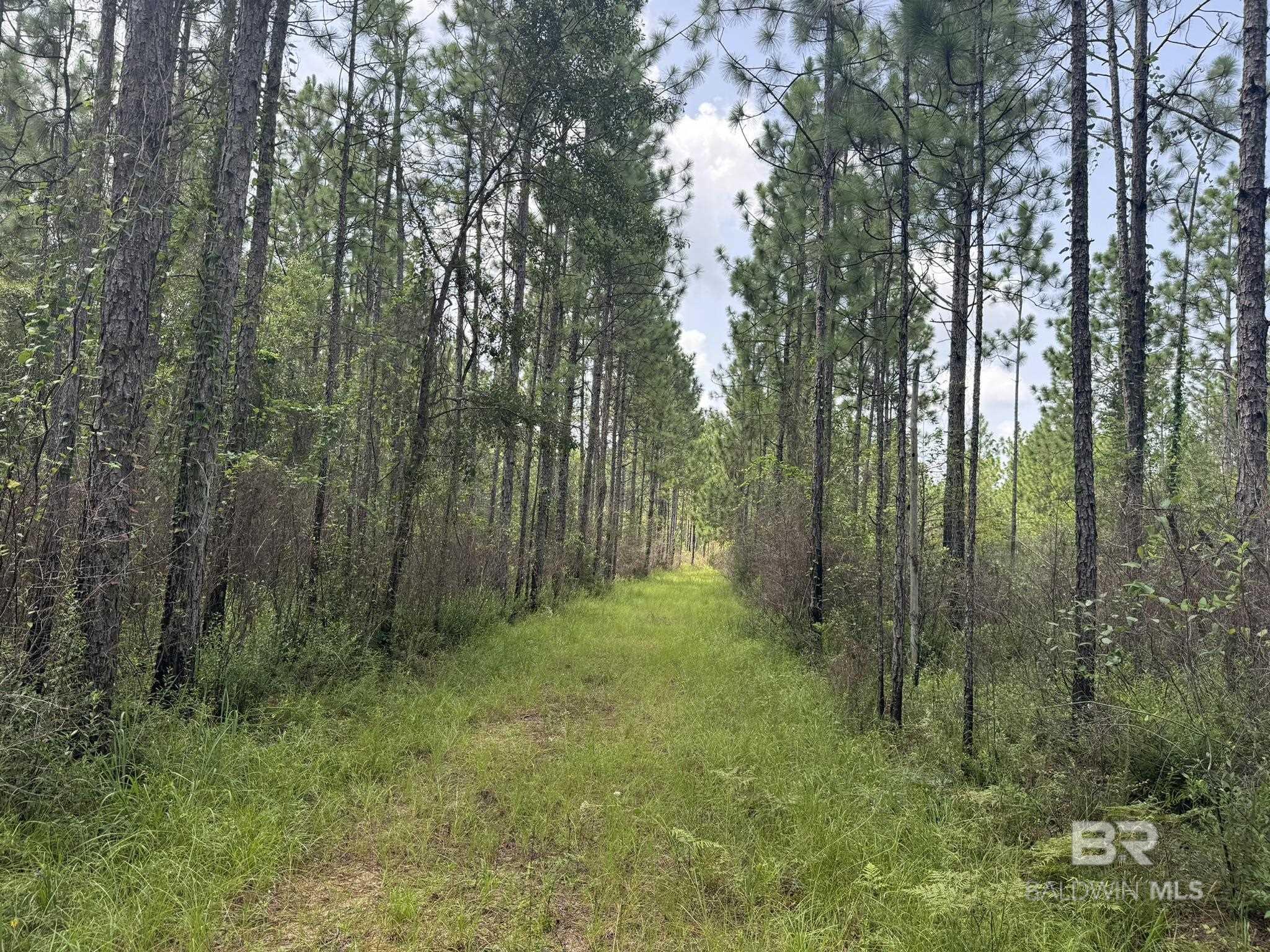 0 Nokomis Road