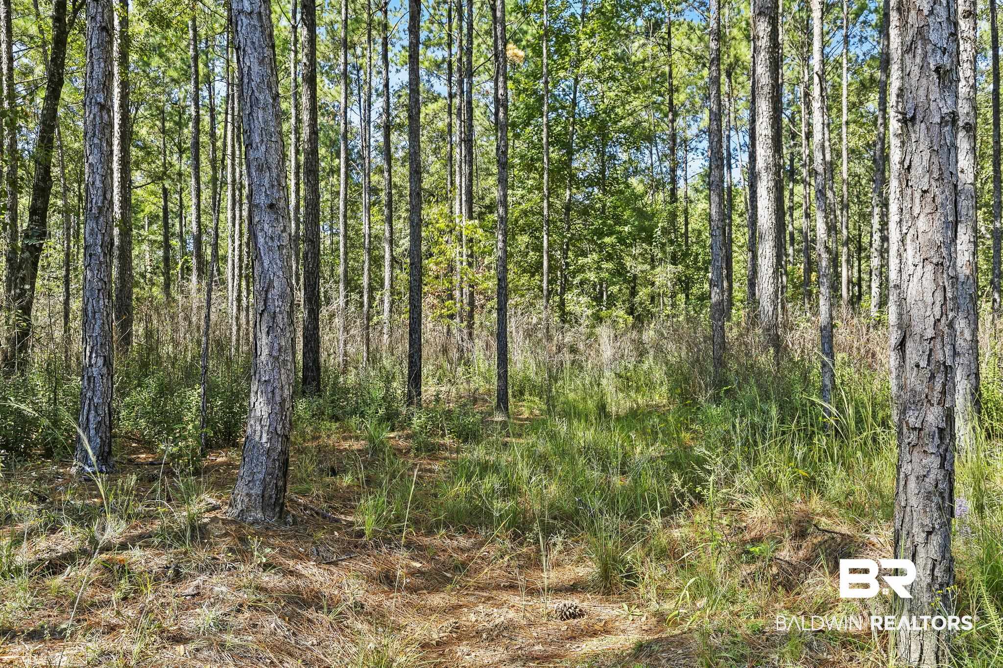 0 Nokomis Road