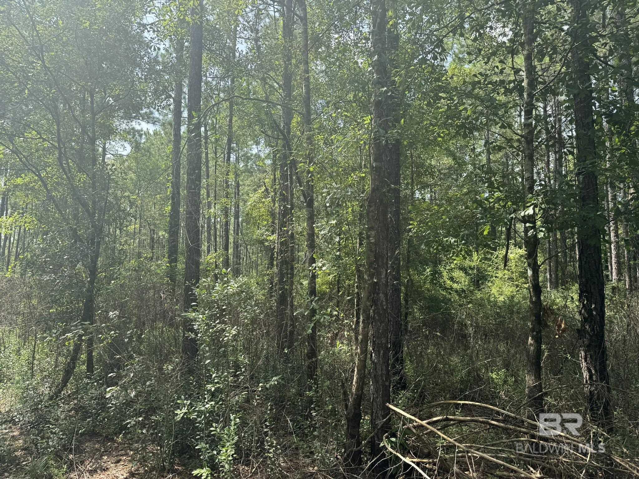 0 Nokomis Road