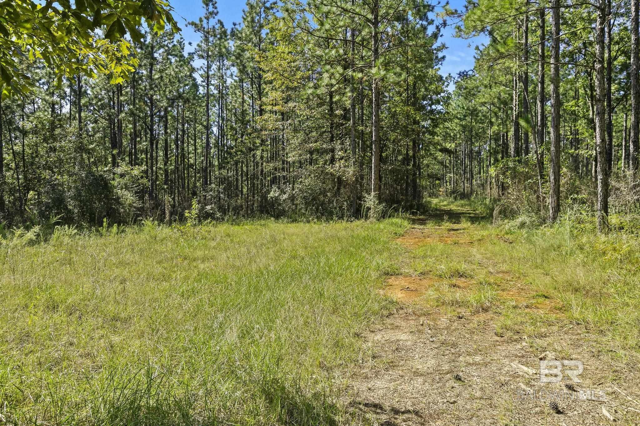0 Nokomis Road