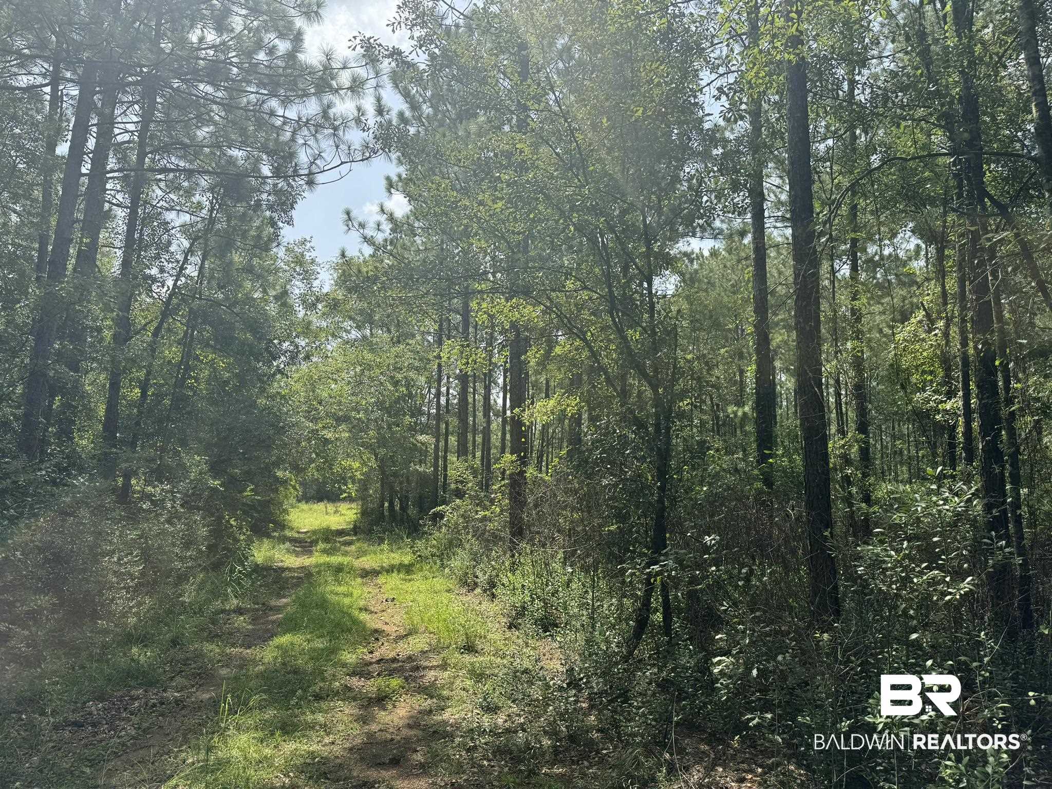 0 Nokomis Road