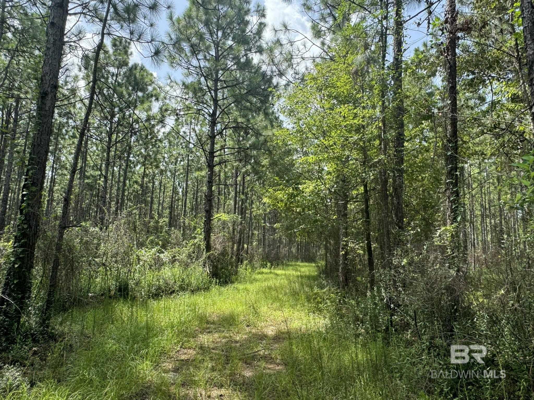 0 Nokomis Road