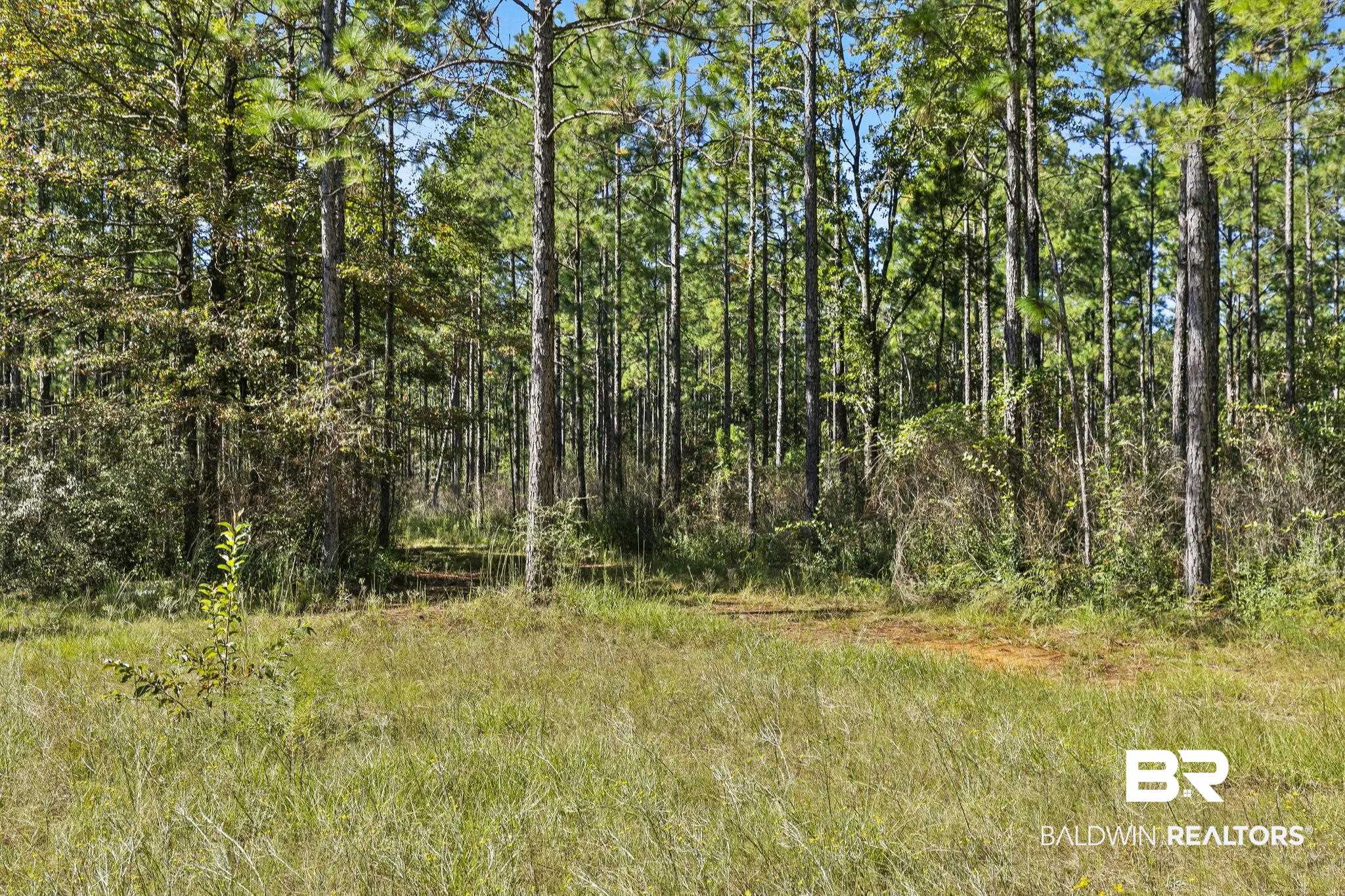 0 Nokomis Road