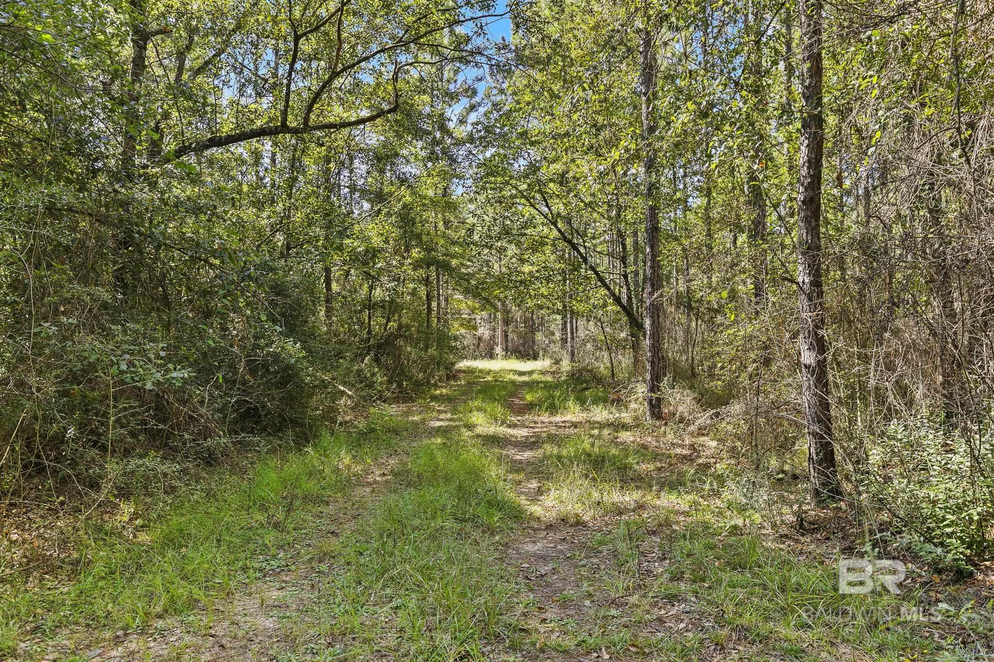 0 Nokomis Road