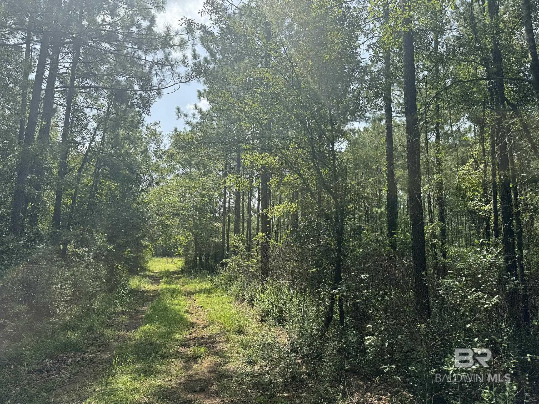 0 Nokomis Road