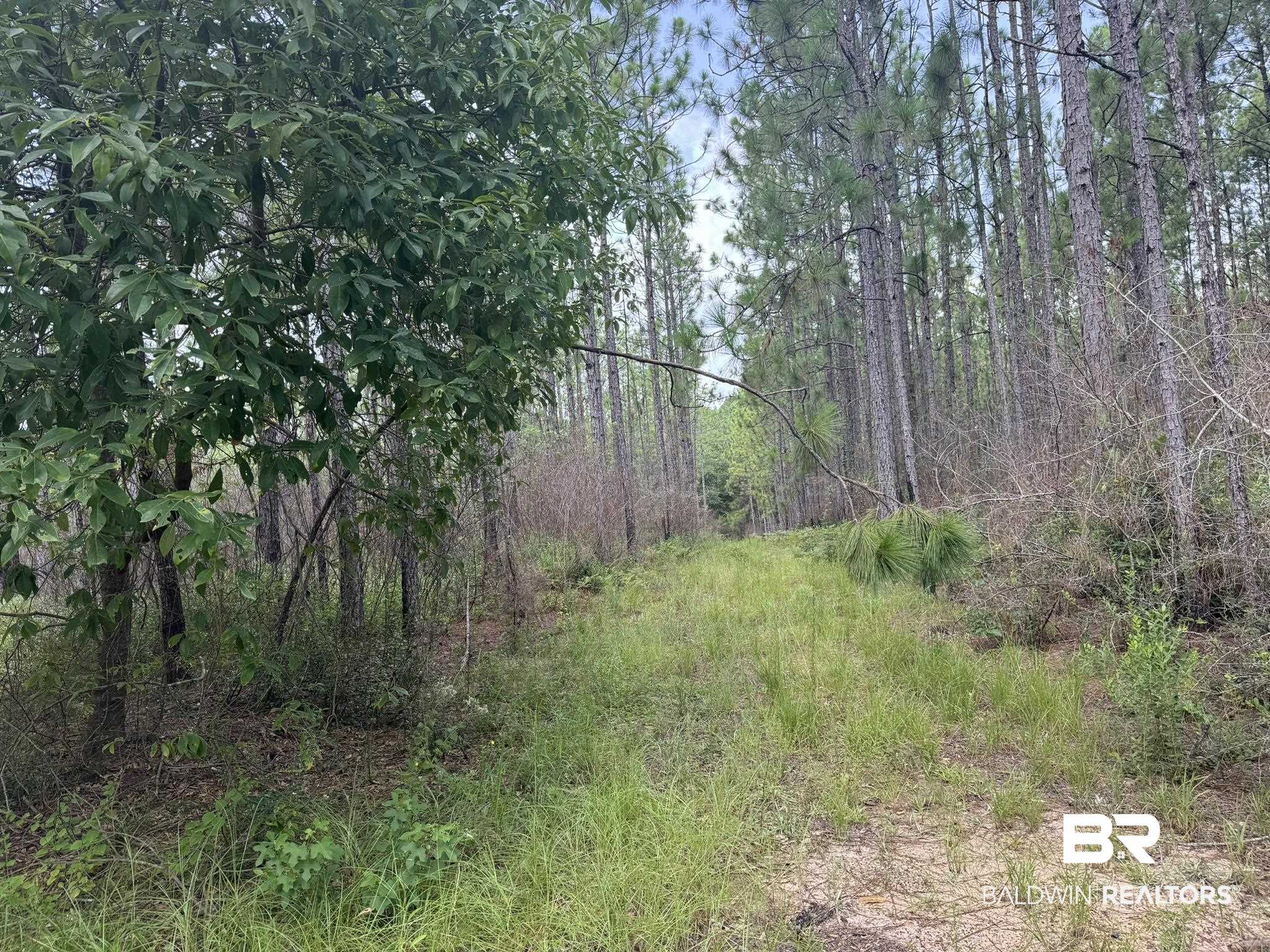 0 Nokomis Road