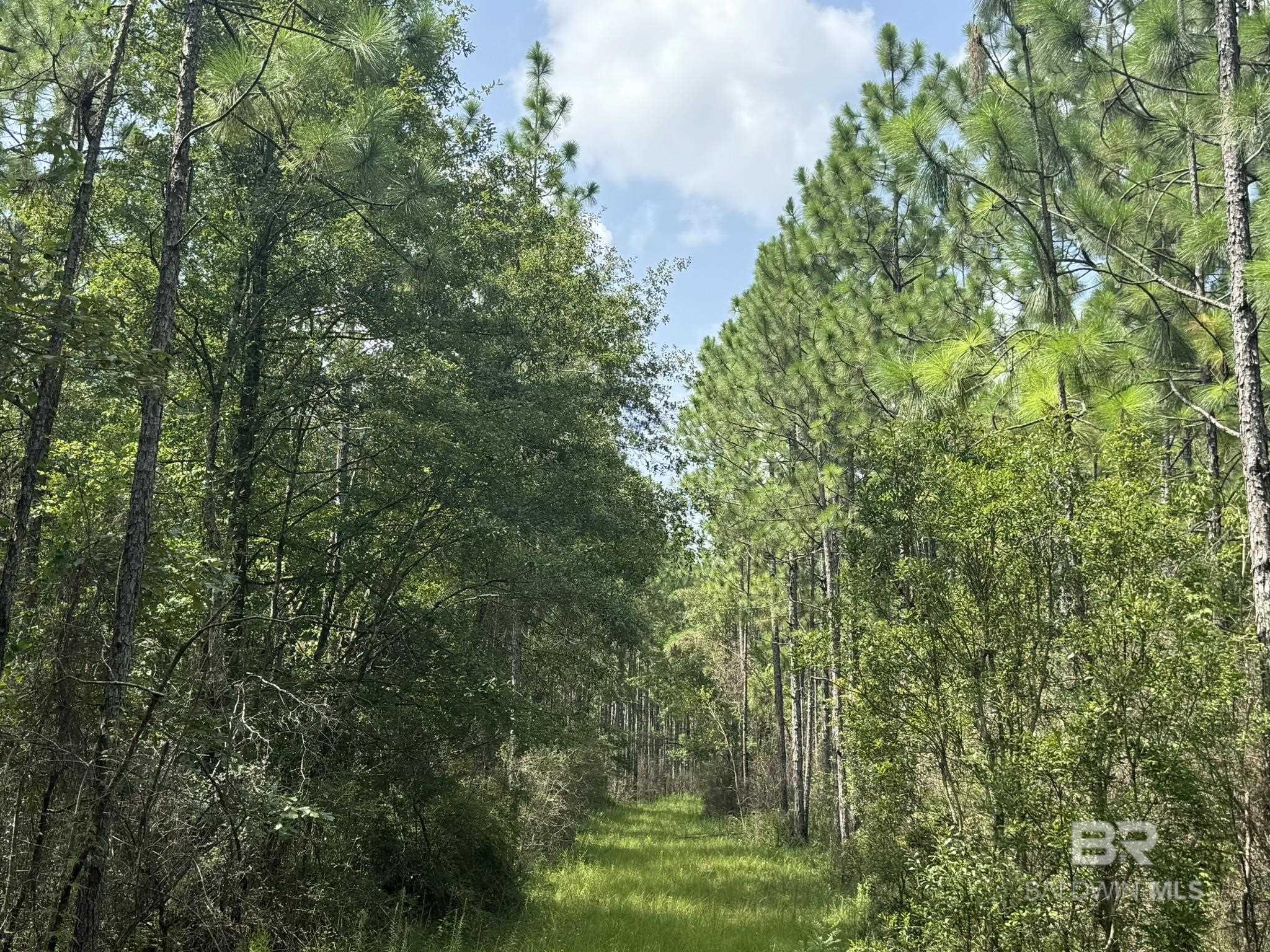 0 Nokomis Road