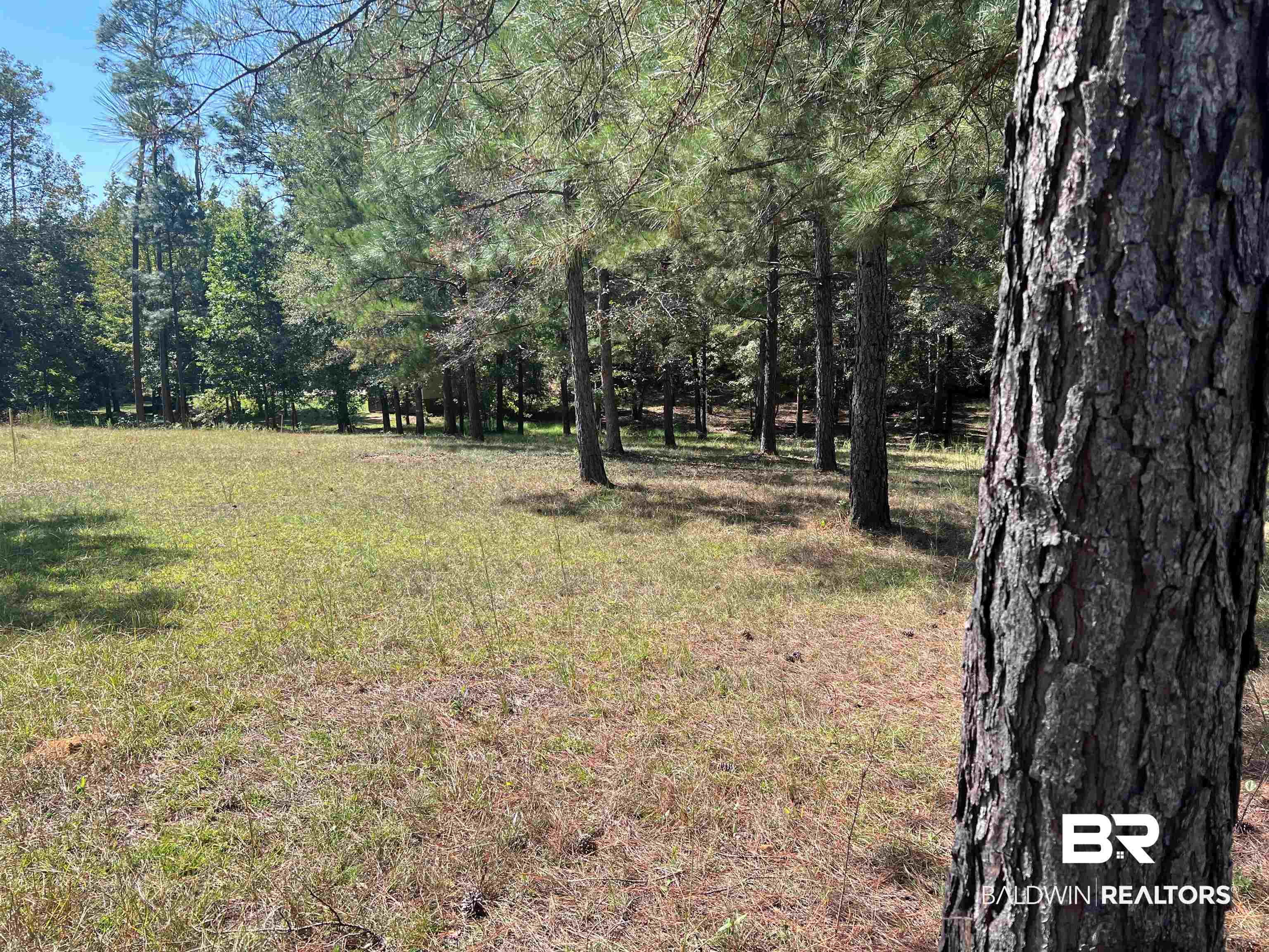 00 Longleaf Ridge