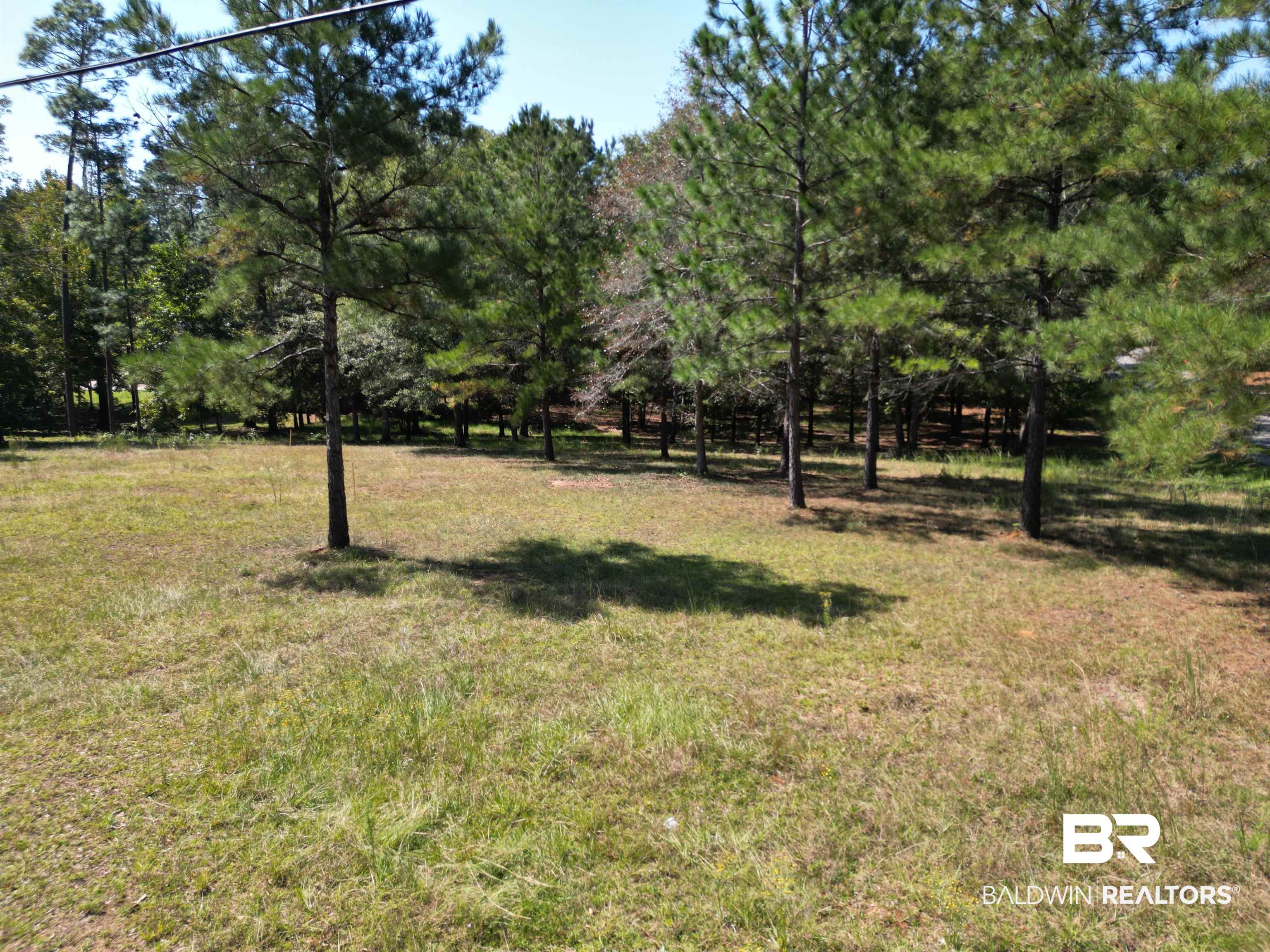 00 Longleaf Ridge