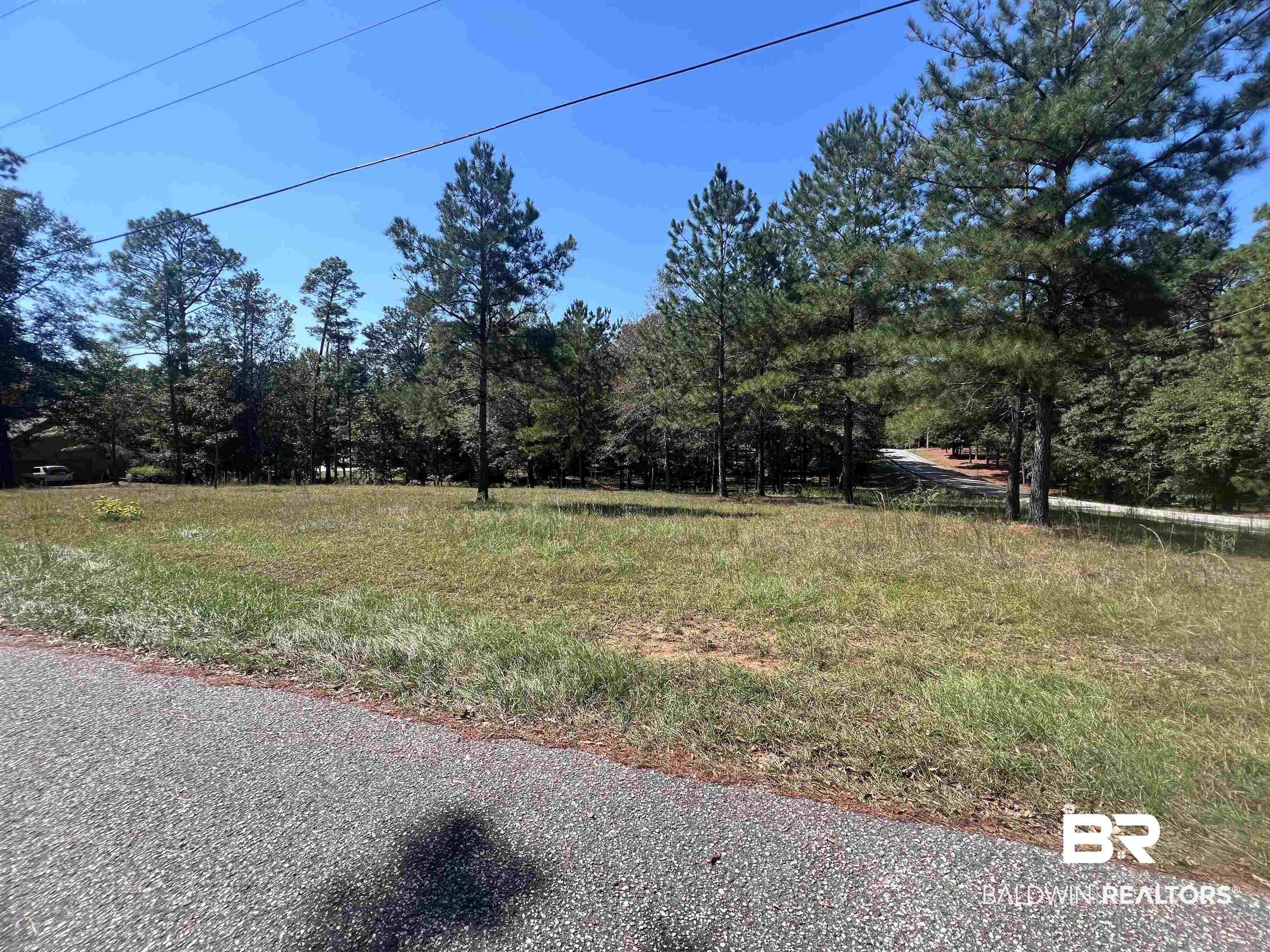 00 Longleaf Ridge
