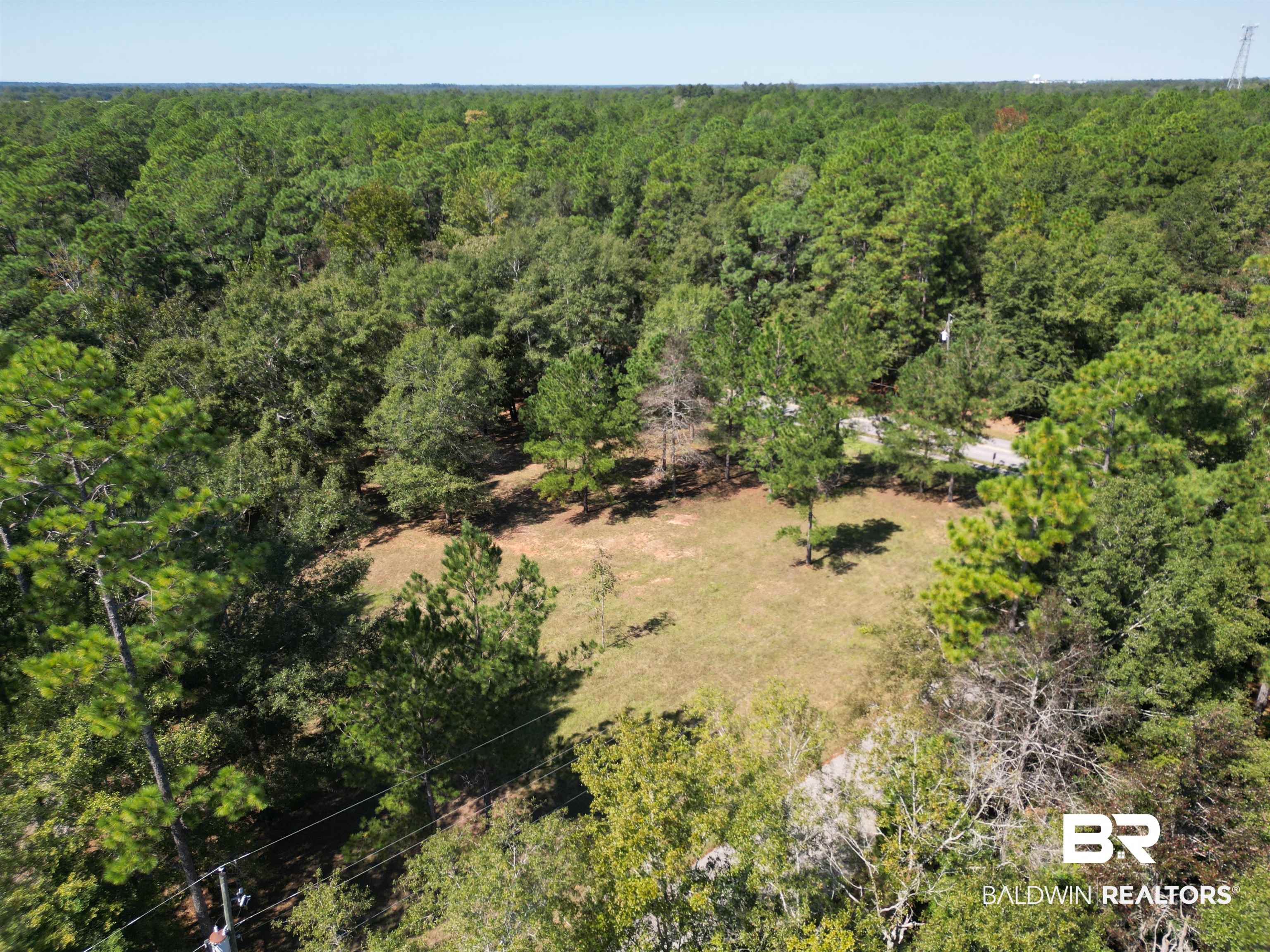 00 Longleaf Ridge