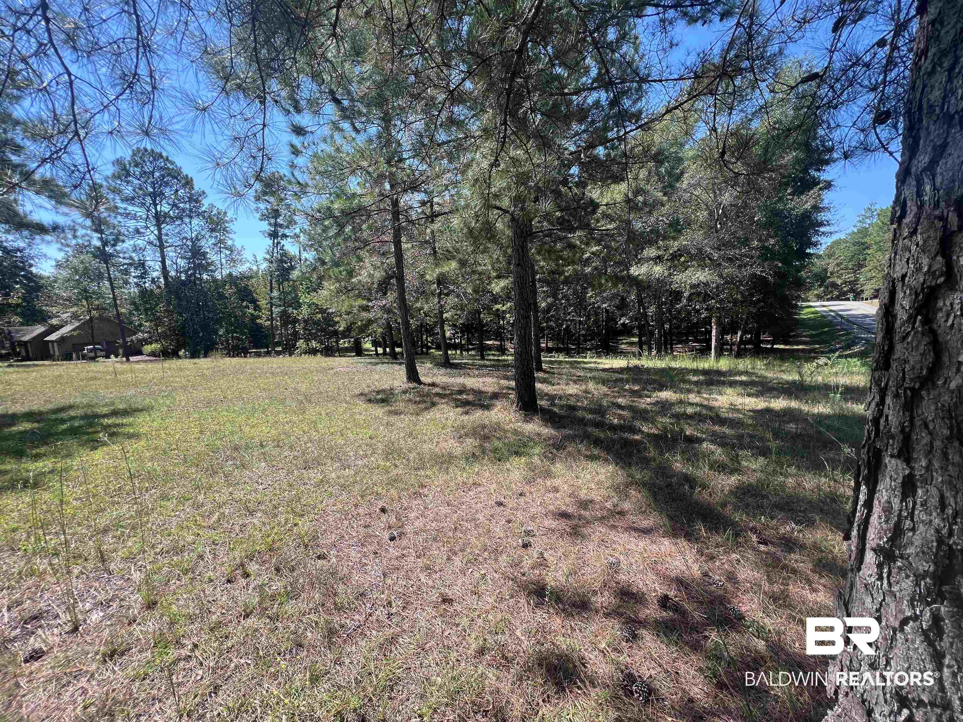 00 Longleaf Ridge