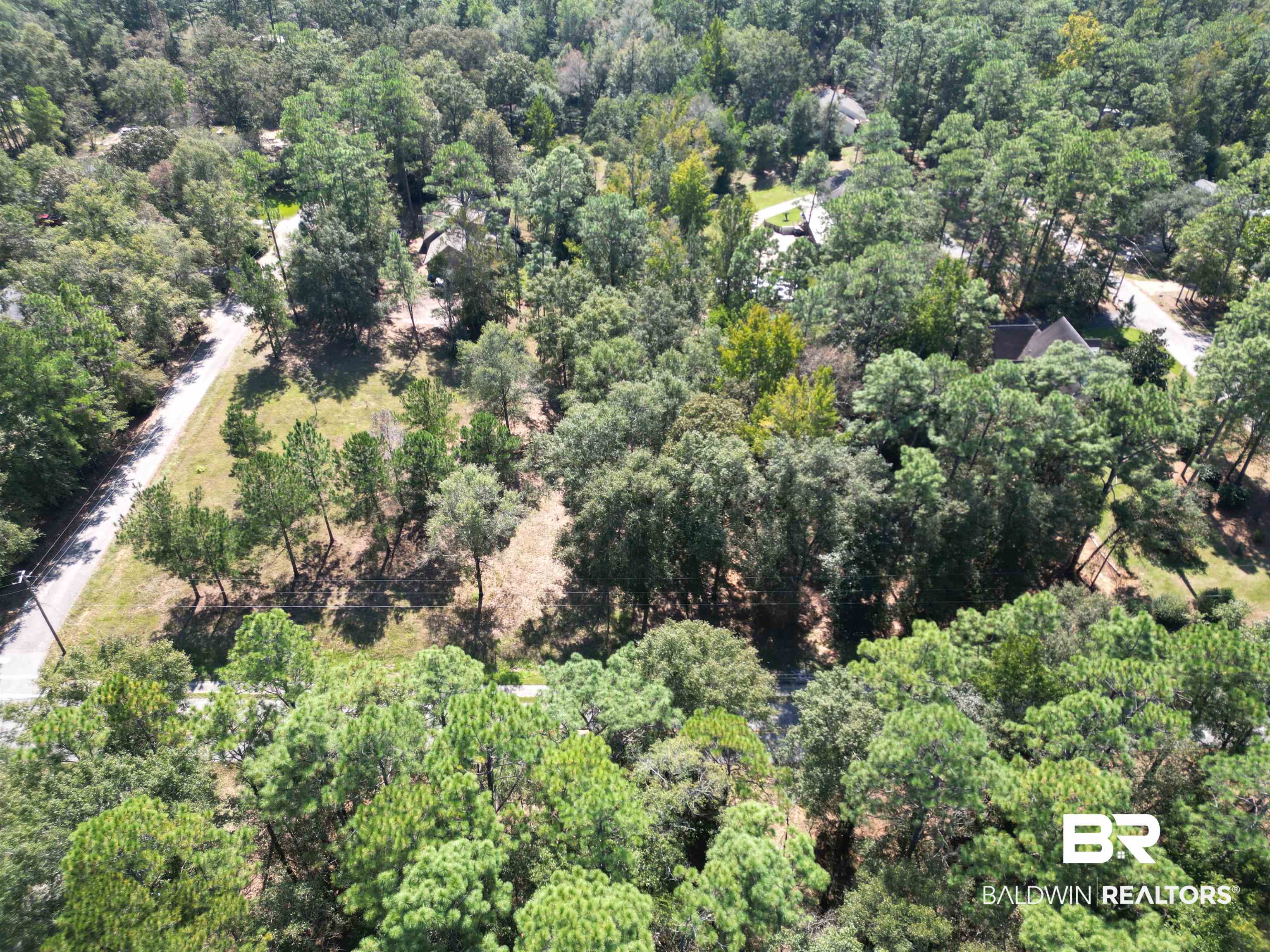00 Longleaf Ridge