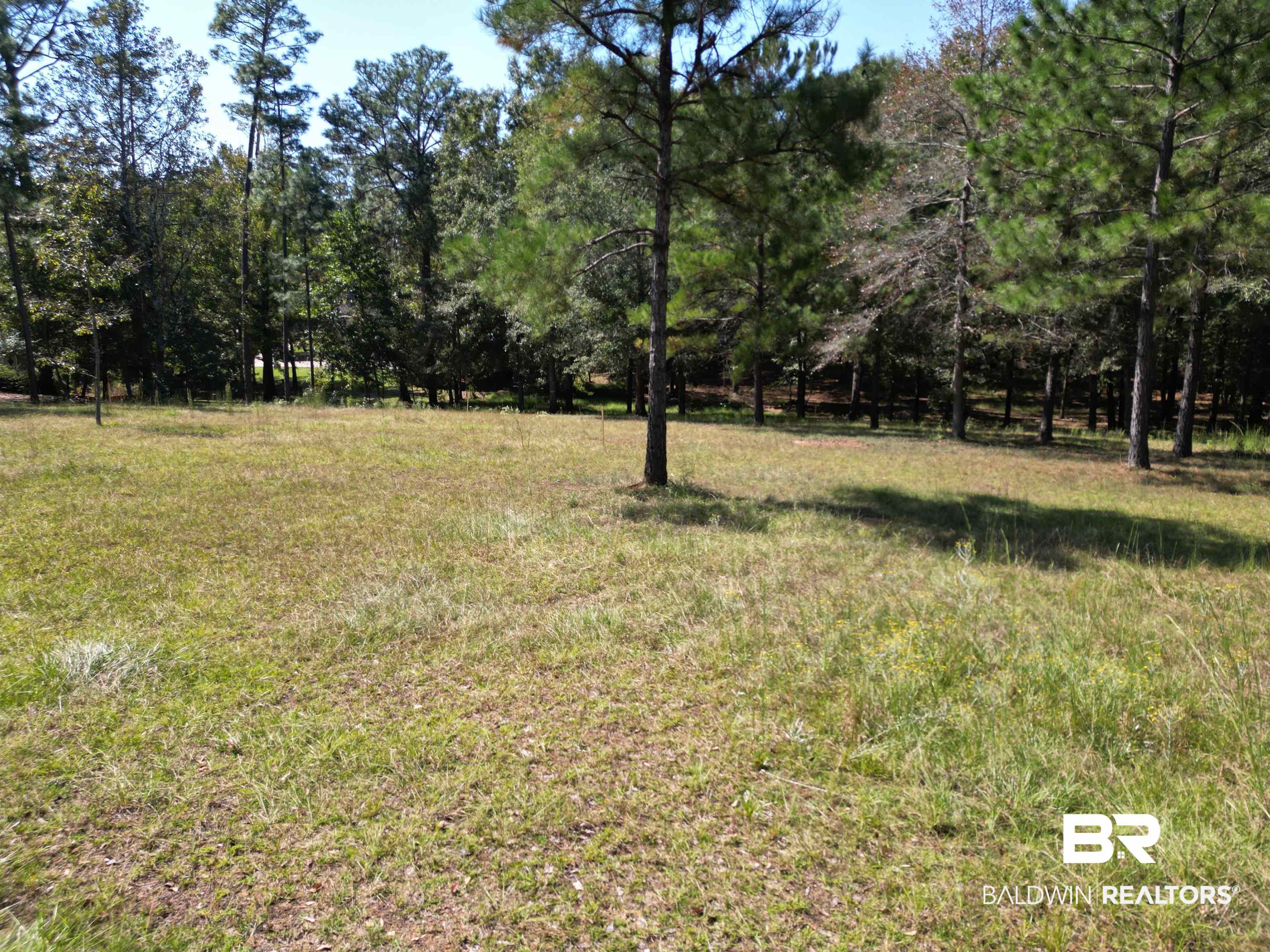 00 Longleaf Ridge