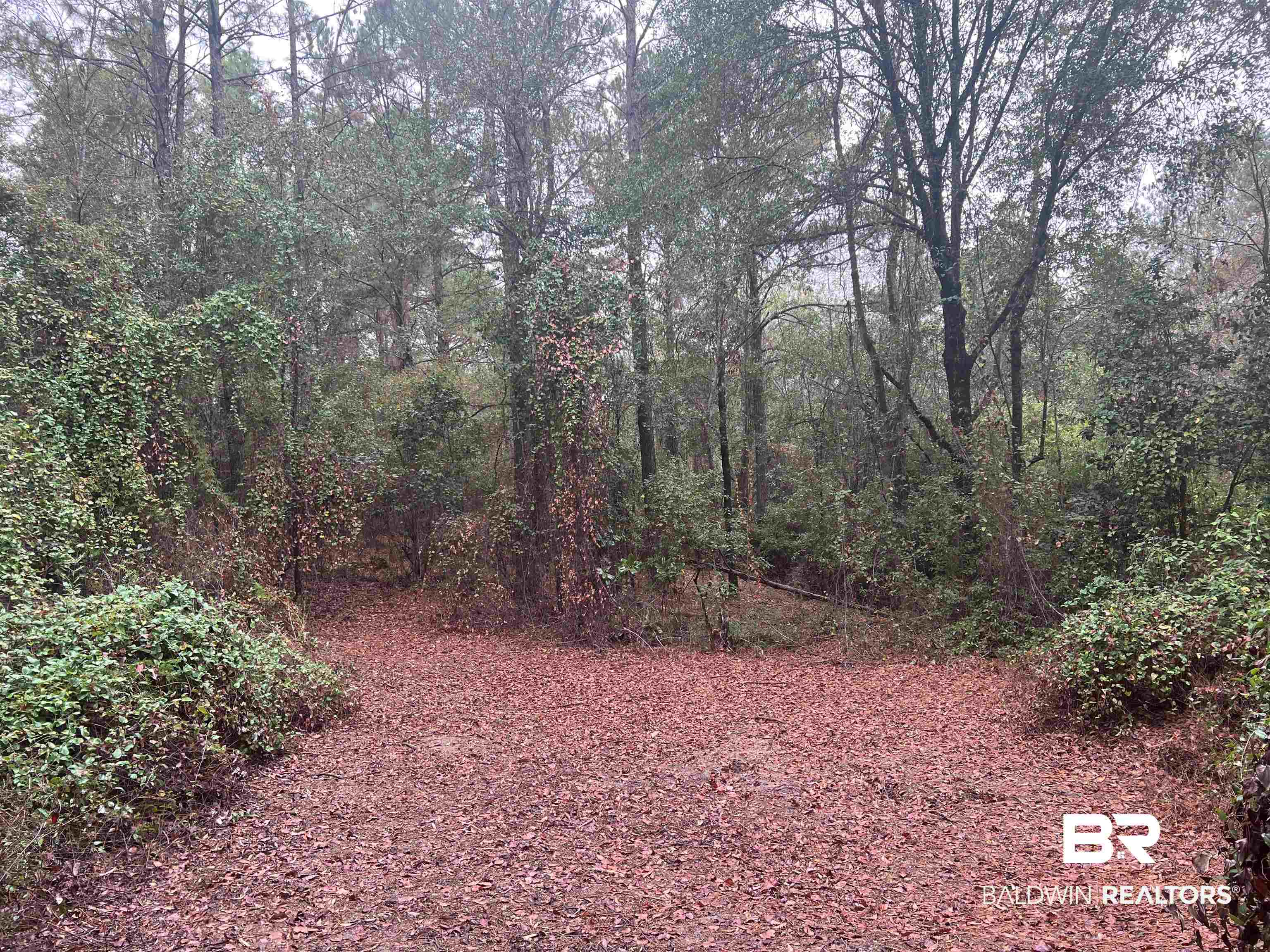533 Green Acres Road