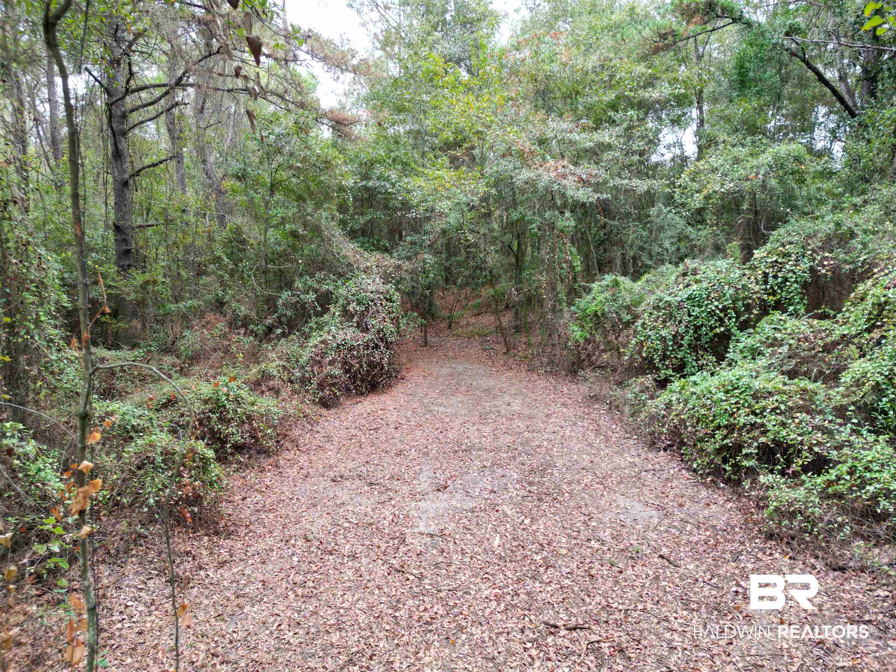 533 Green Acres Road